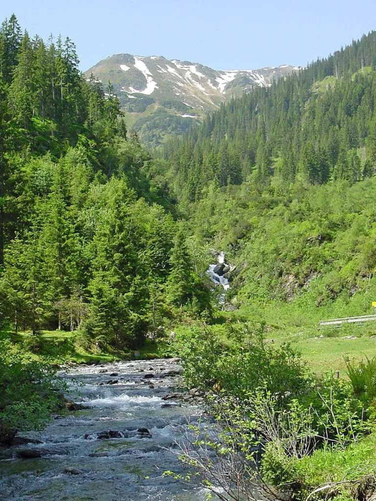 Natural landscape in Gasthaus Steinberg