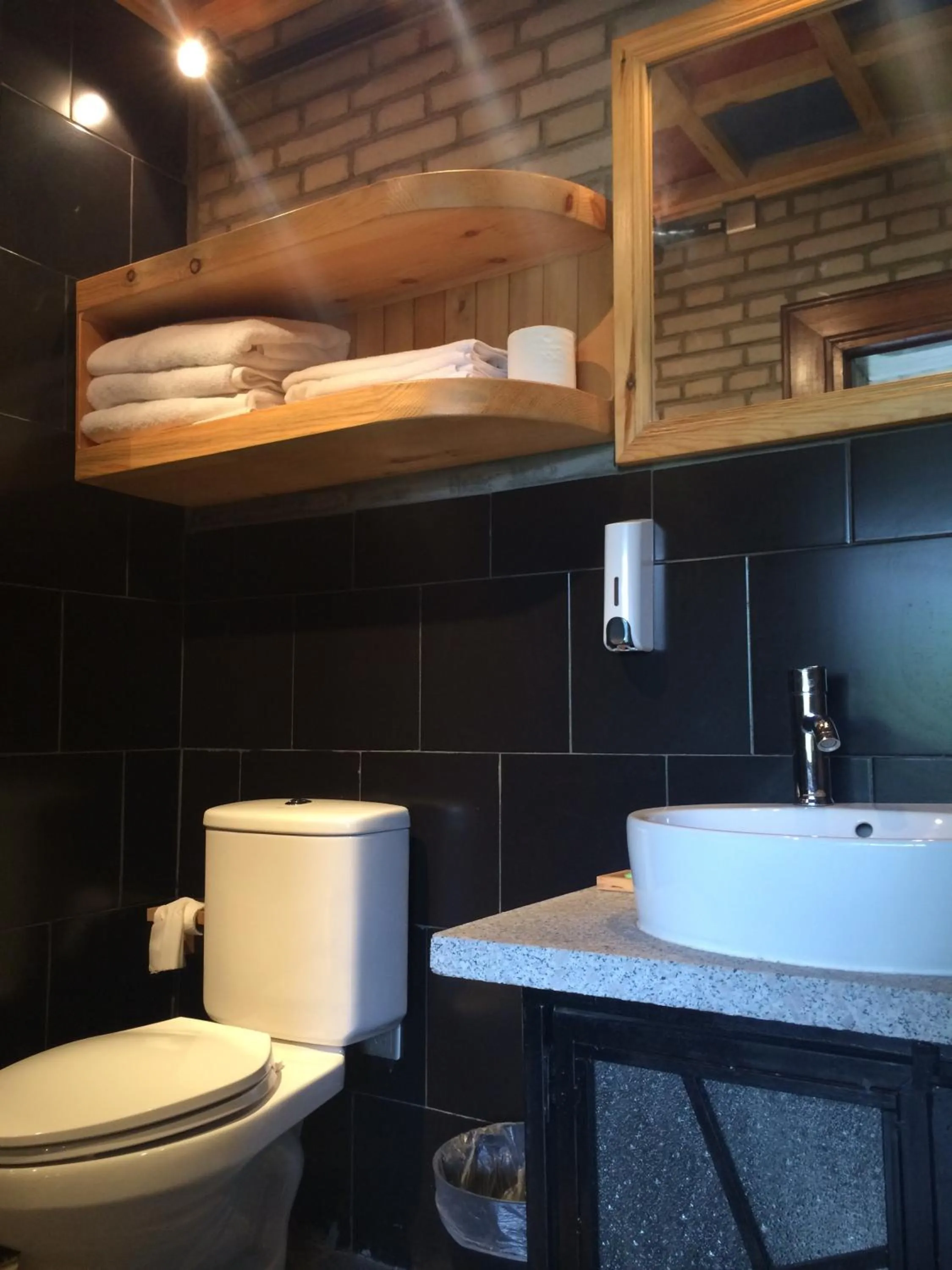 Toilet in Home of the Great Wall