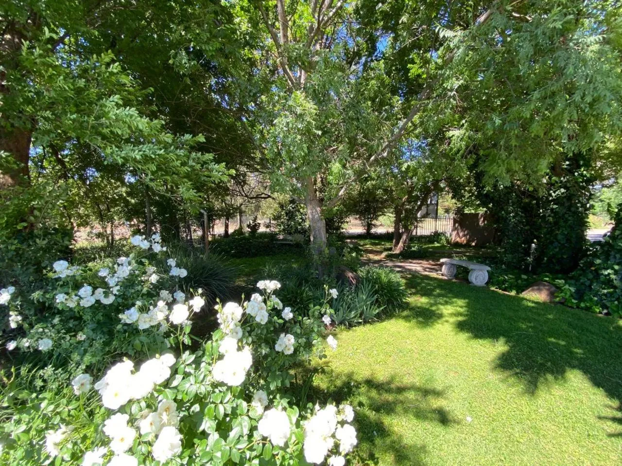 Garden in Be My Guest Hotel Conference