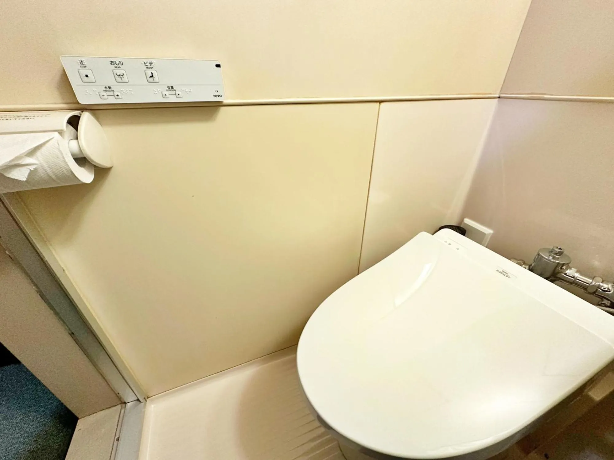 Toilet in 吸う温泉 湯治の宿 竜王ラドン温泉 湯ーとぴあ