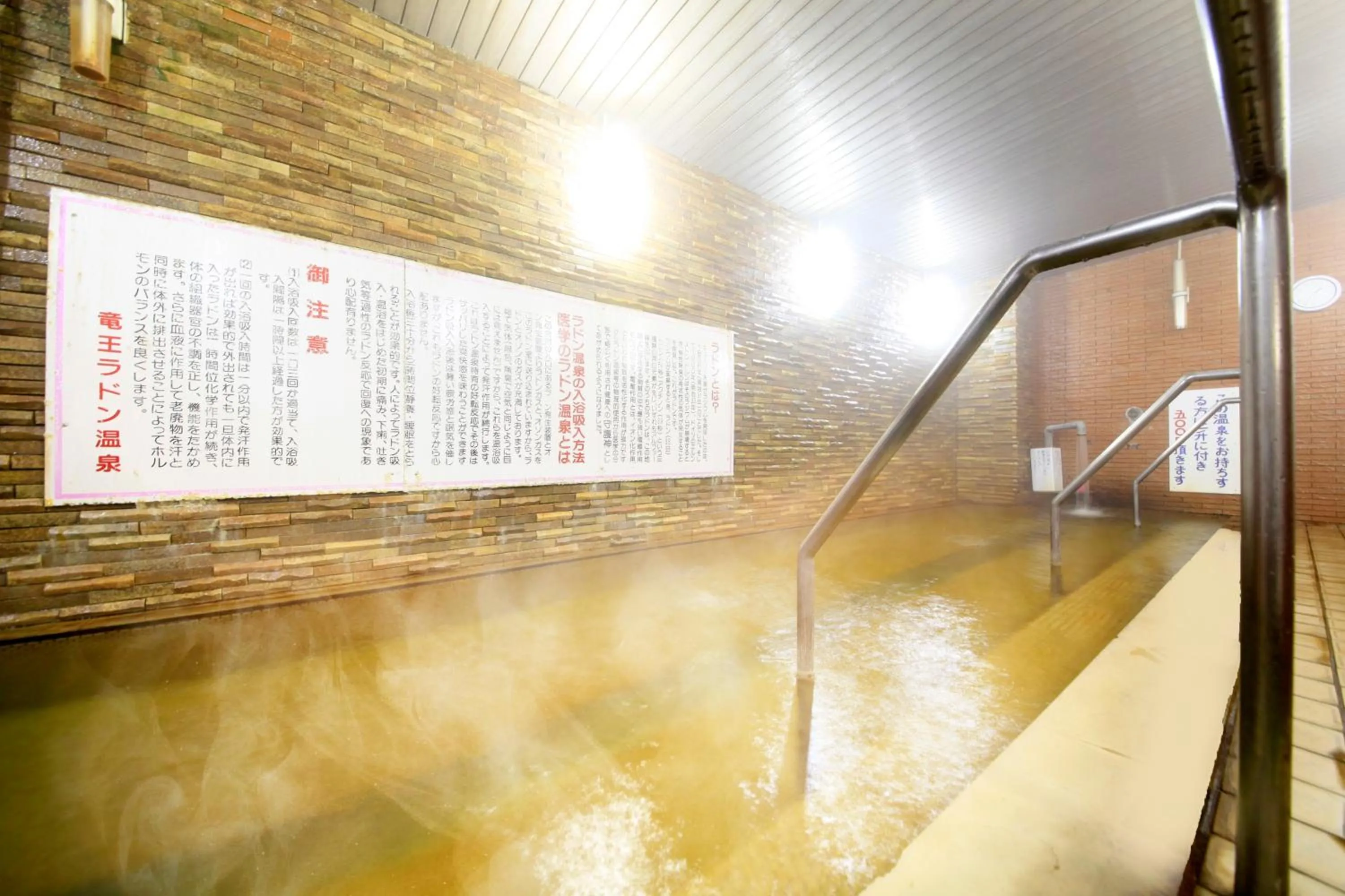 Hot Spring Bath in 吸う温泉 湯治の宿 竜王ラドン温泉 湯ーとぴあ