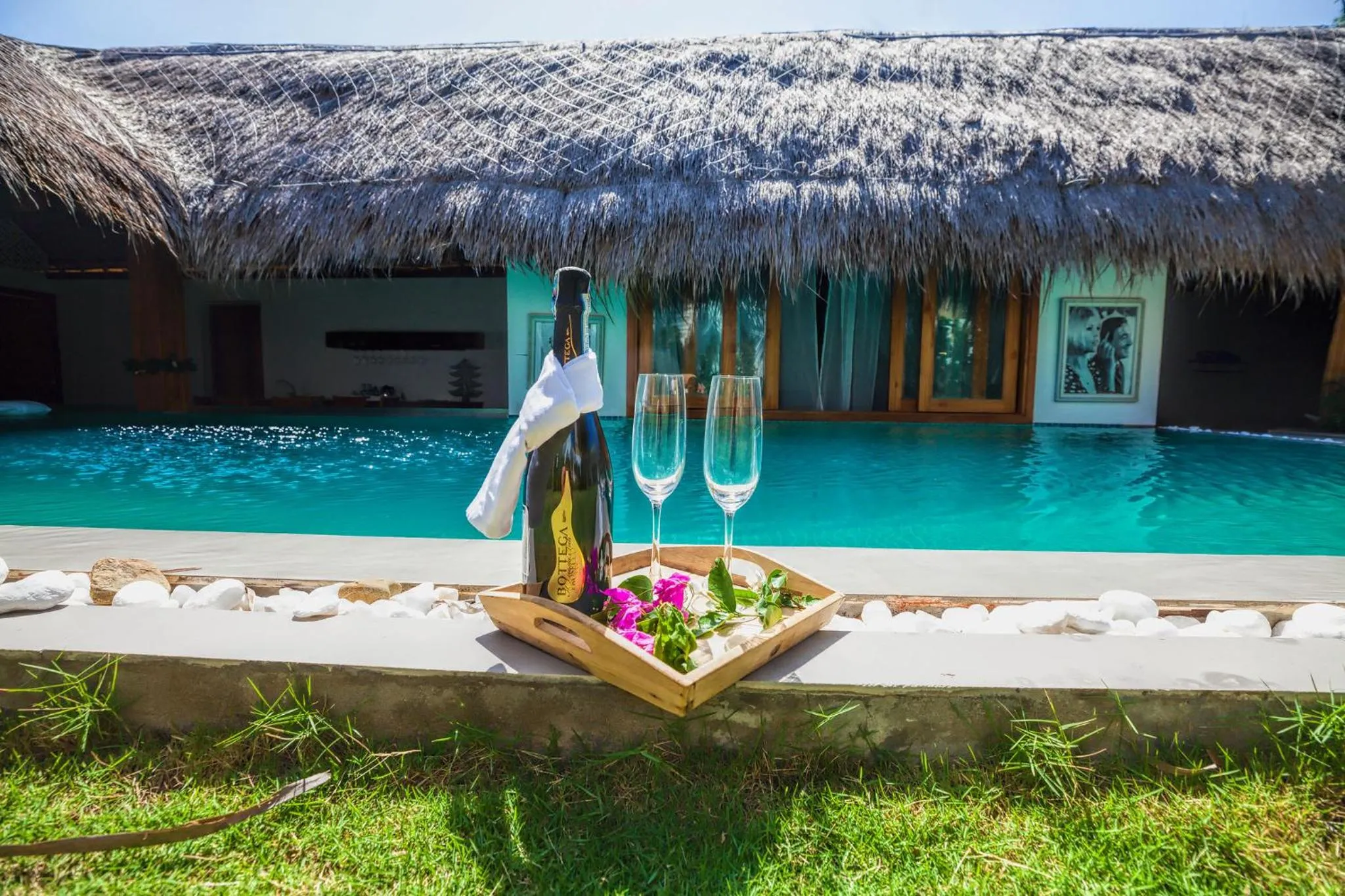 Green Organic Villas