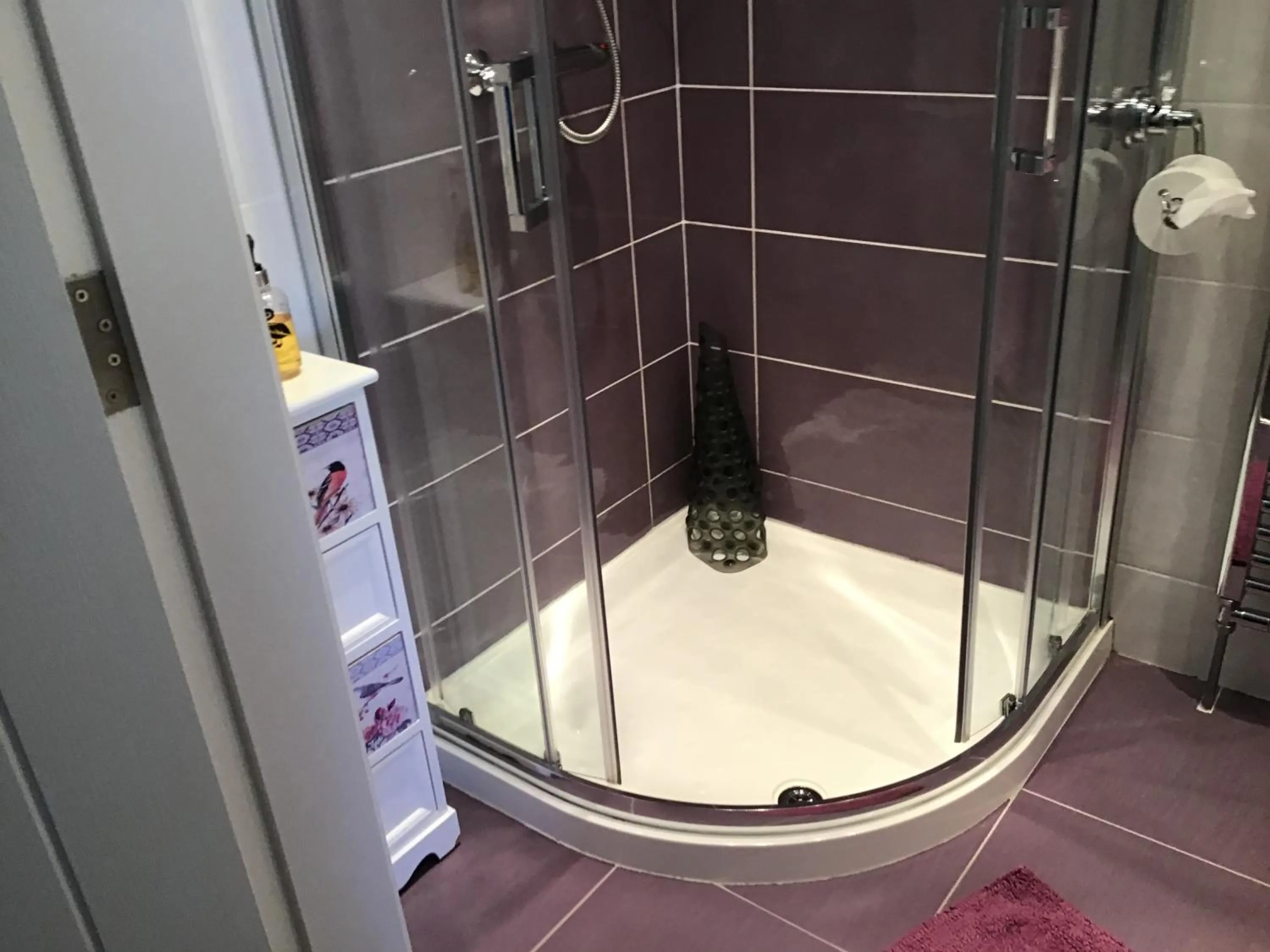 Shower in Garron View