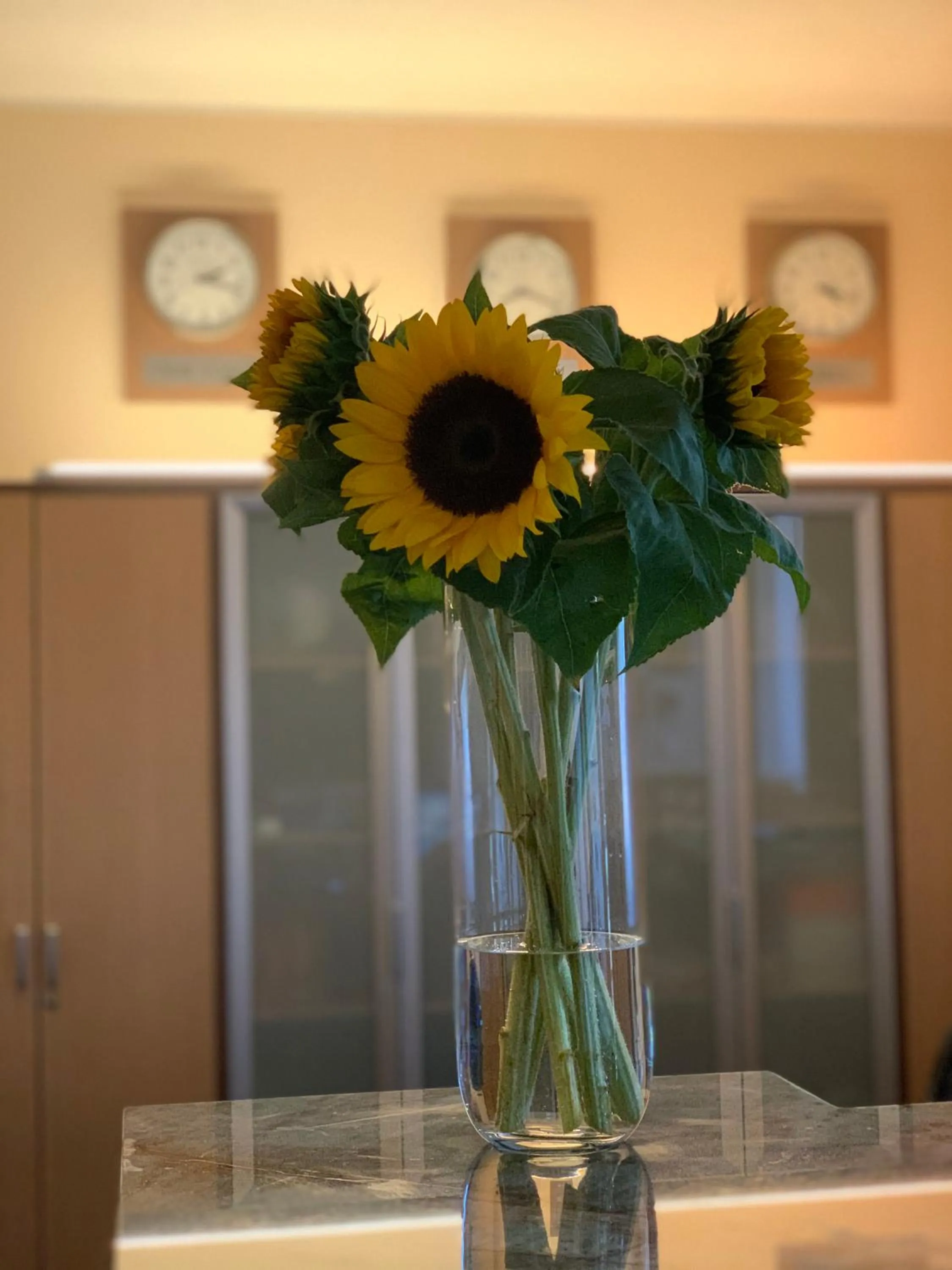 Lobby or reception in Hotel Sleep Wrocław