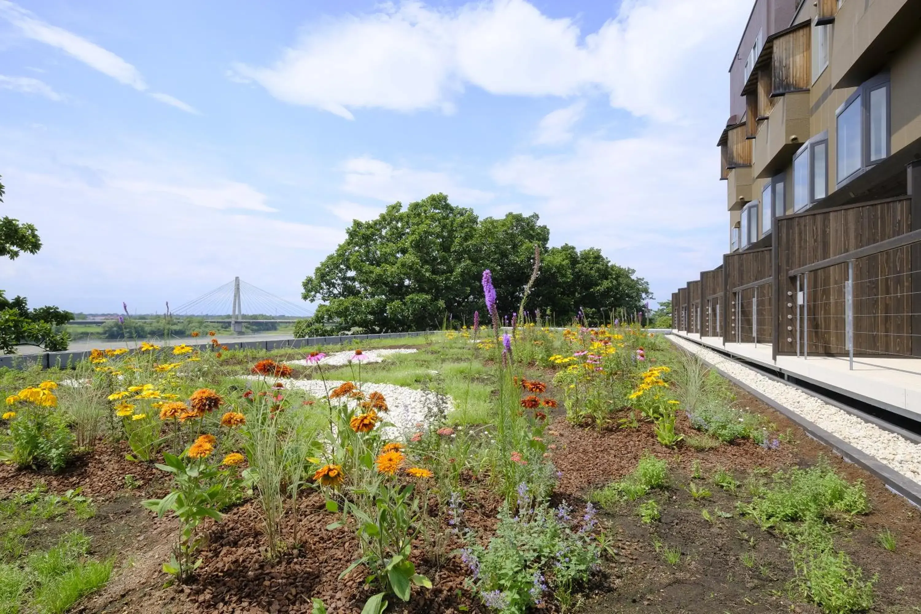View (from property/room) in Kangetsuen View (from property/room) in Kangetsuen