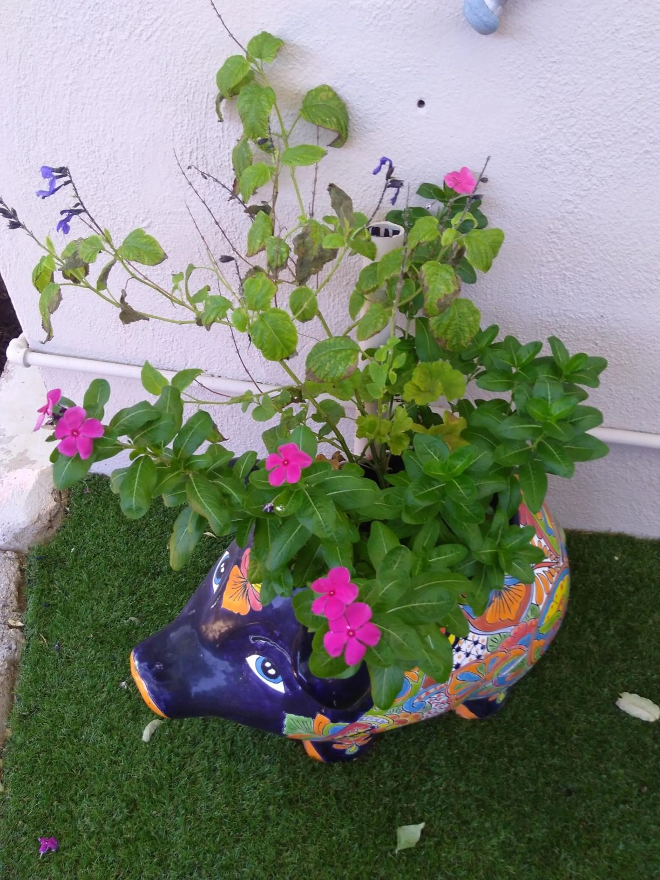 Grand Canyon West Hotel Sheps Miners Inn