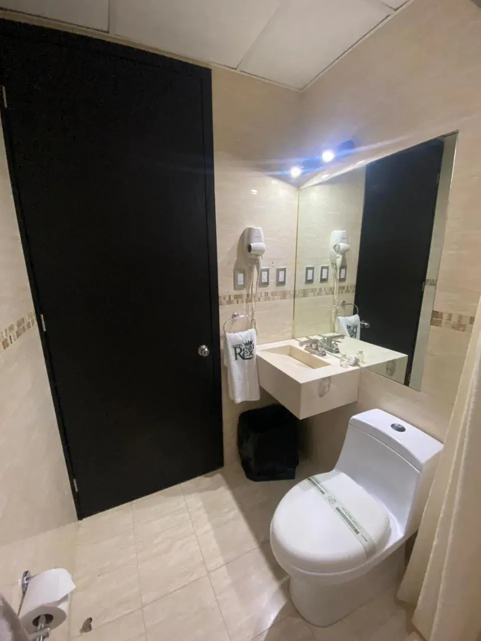 Deluxe Queen Room in Hotel Real Rex Deluxe Queen Room in Hotel Real Rex