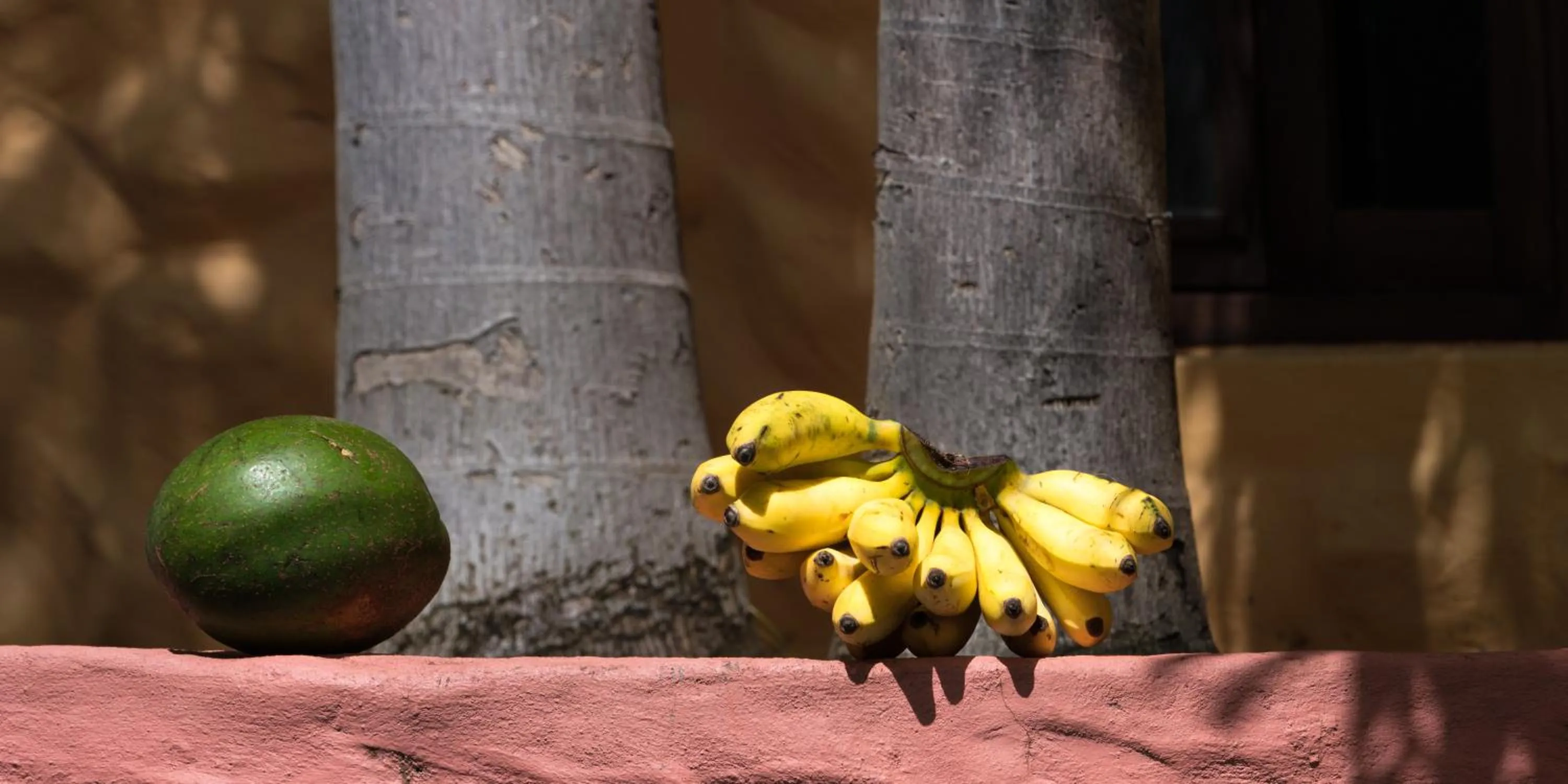 Decorative detail in Reef View Pavilions - Villas & Condos