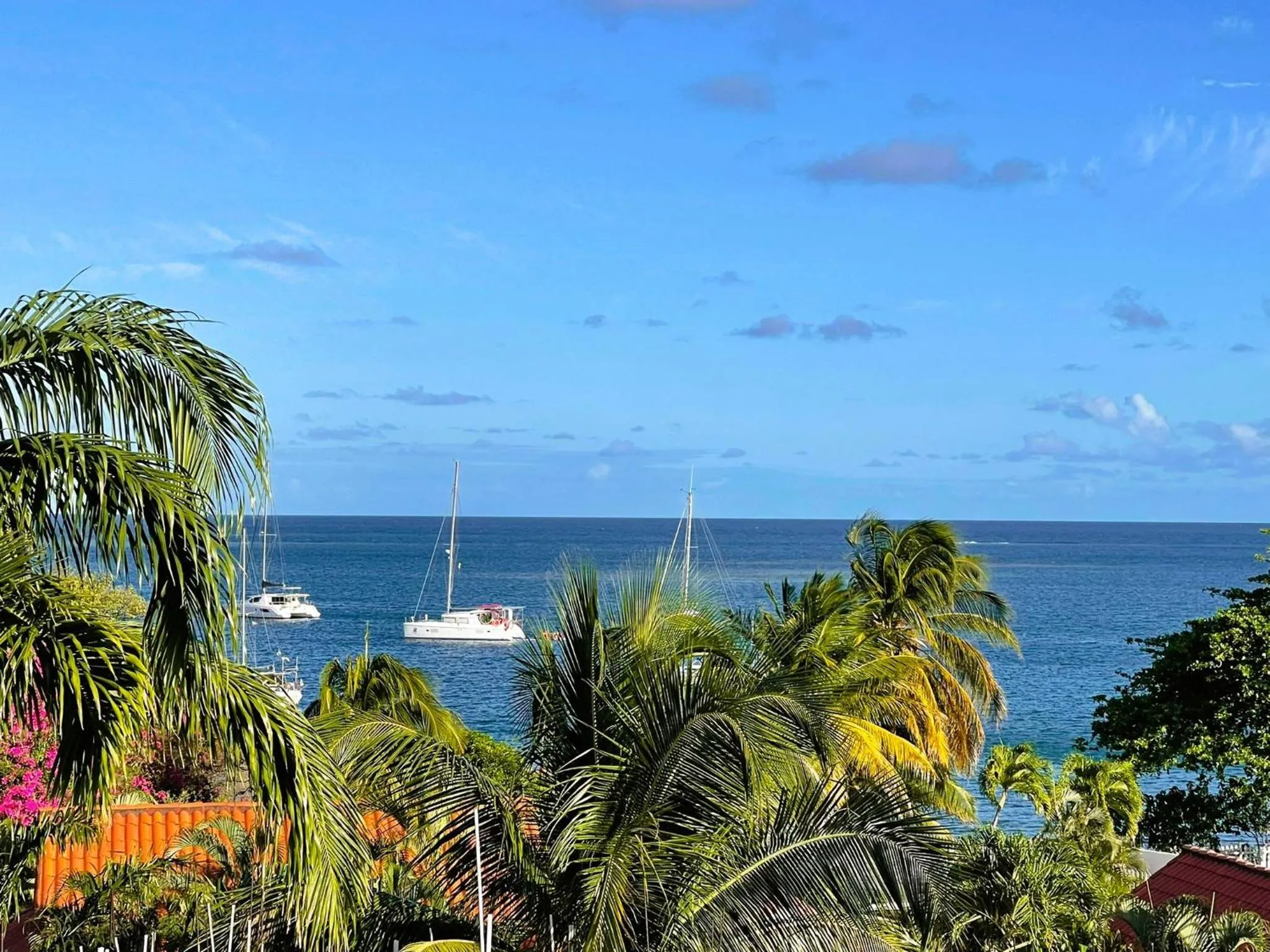 Natural landscape in Reef View Pavilions - Villas & Condos