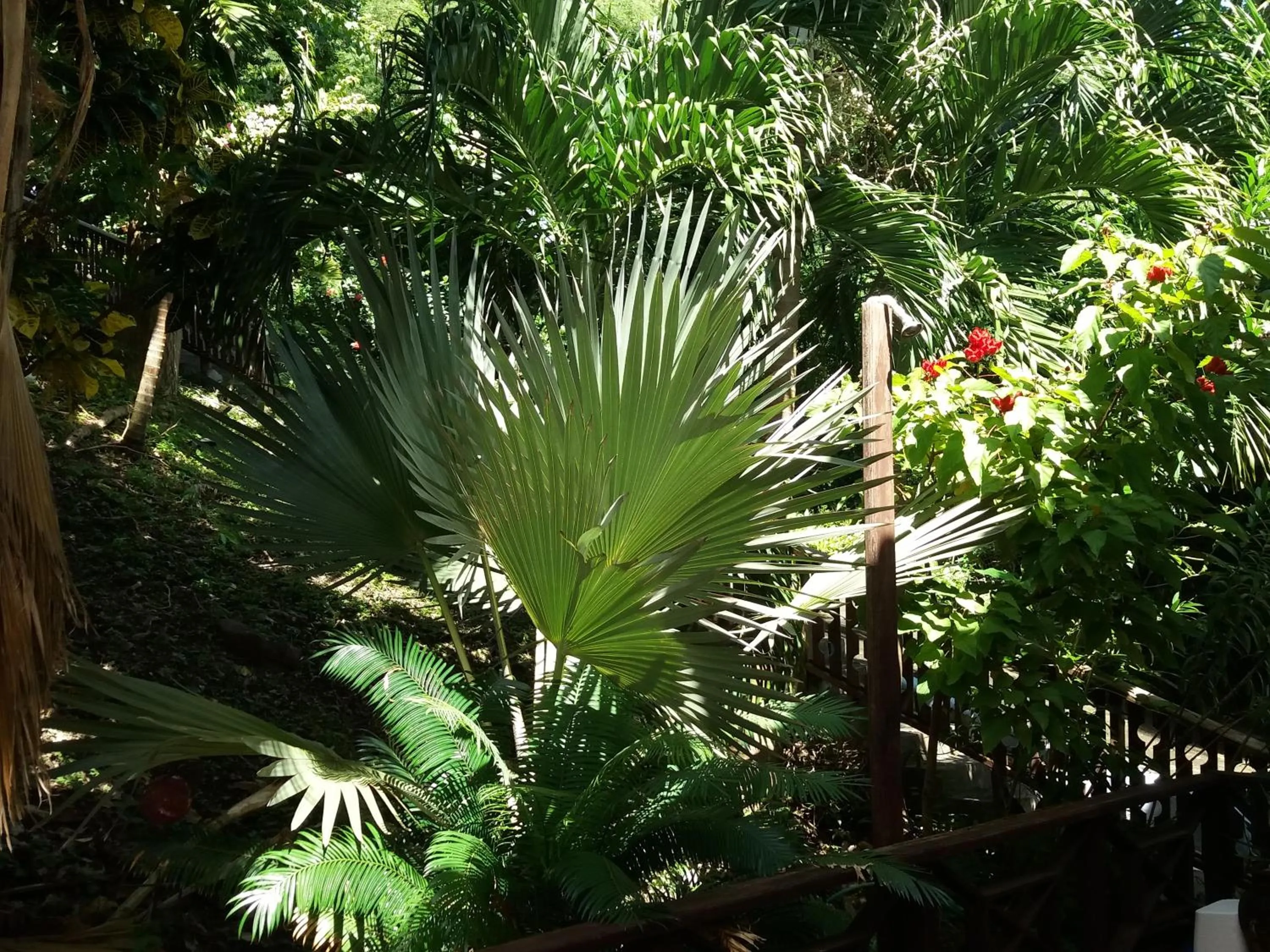 Reef View Pavilions - Villas & Condos