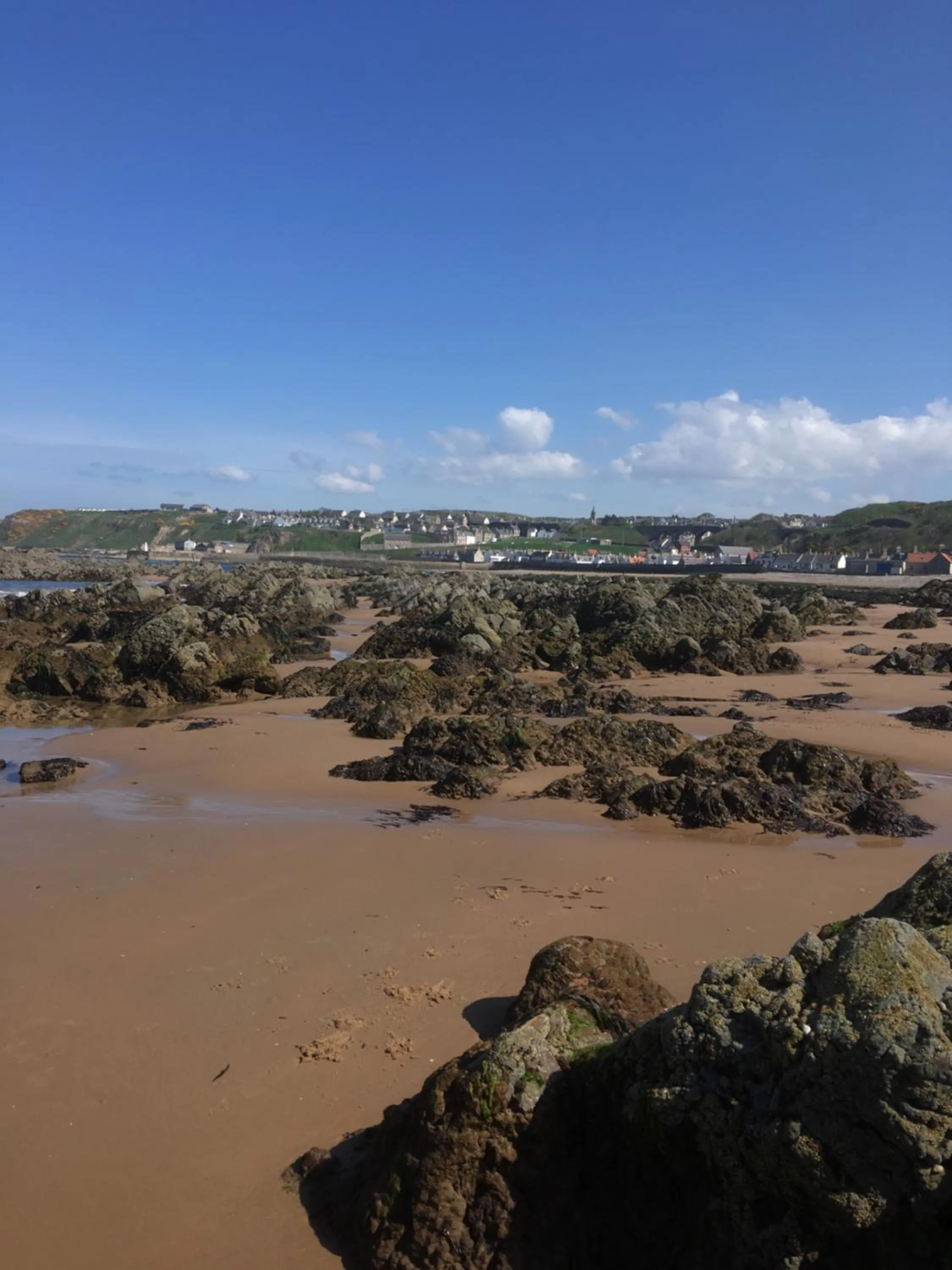 Beach in The Royal Oak Hotel