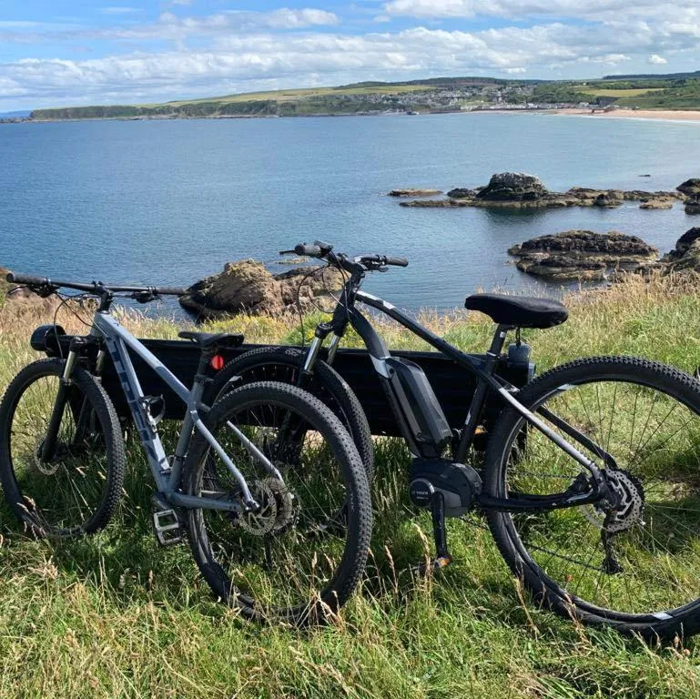 Beach in The Royal Oak Hotel