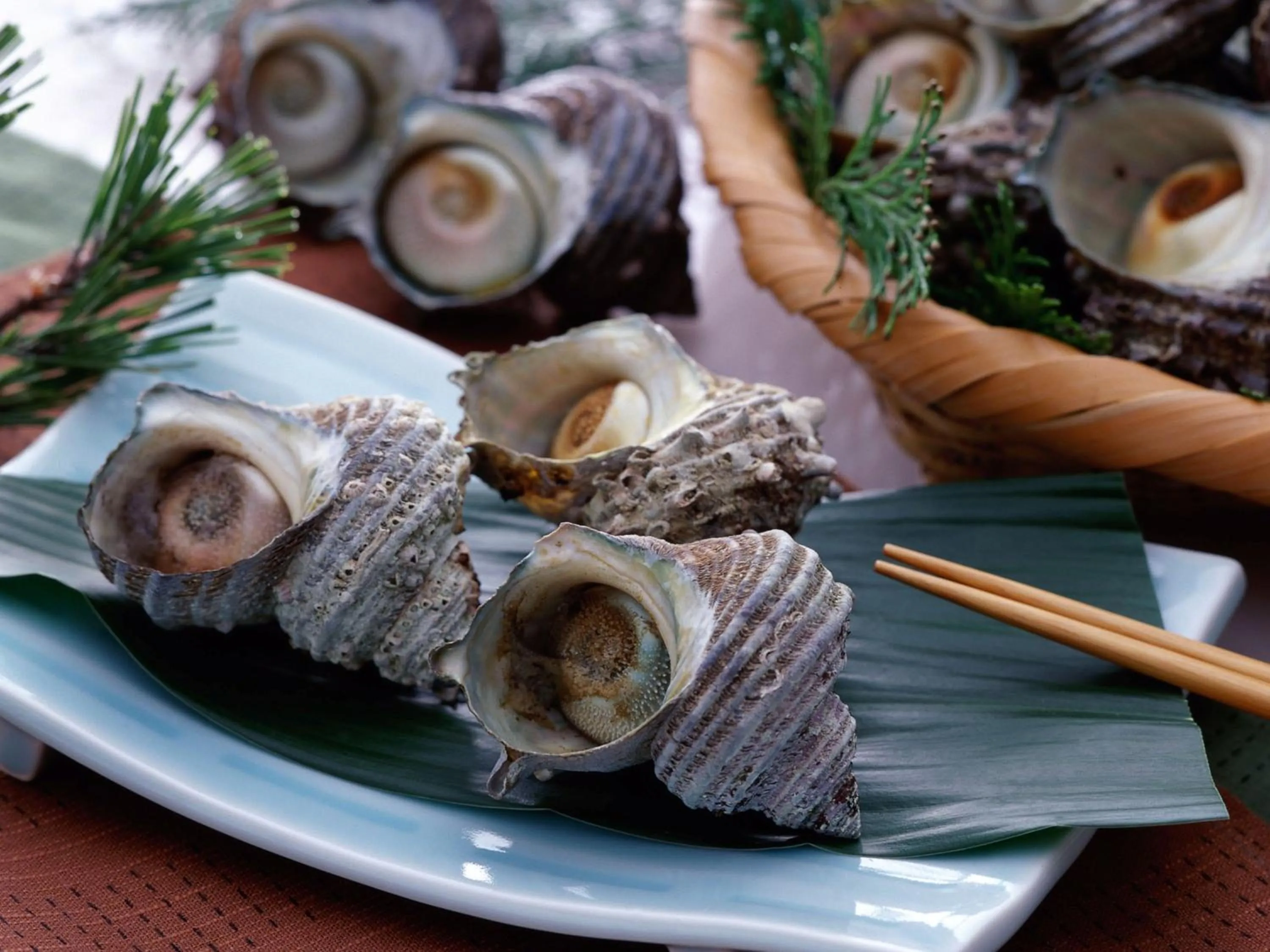 Meals in Garden Terrace Saga Hotel & Resorts