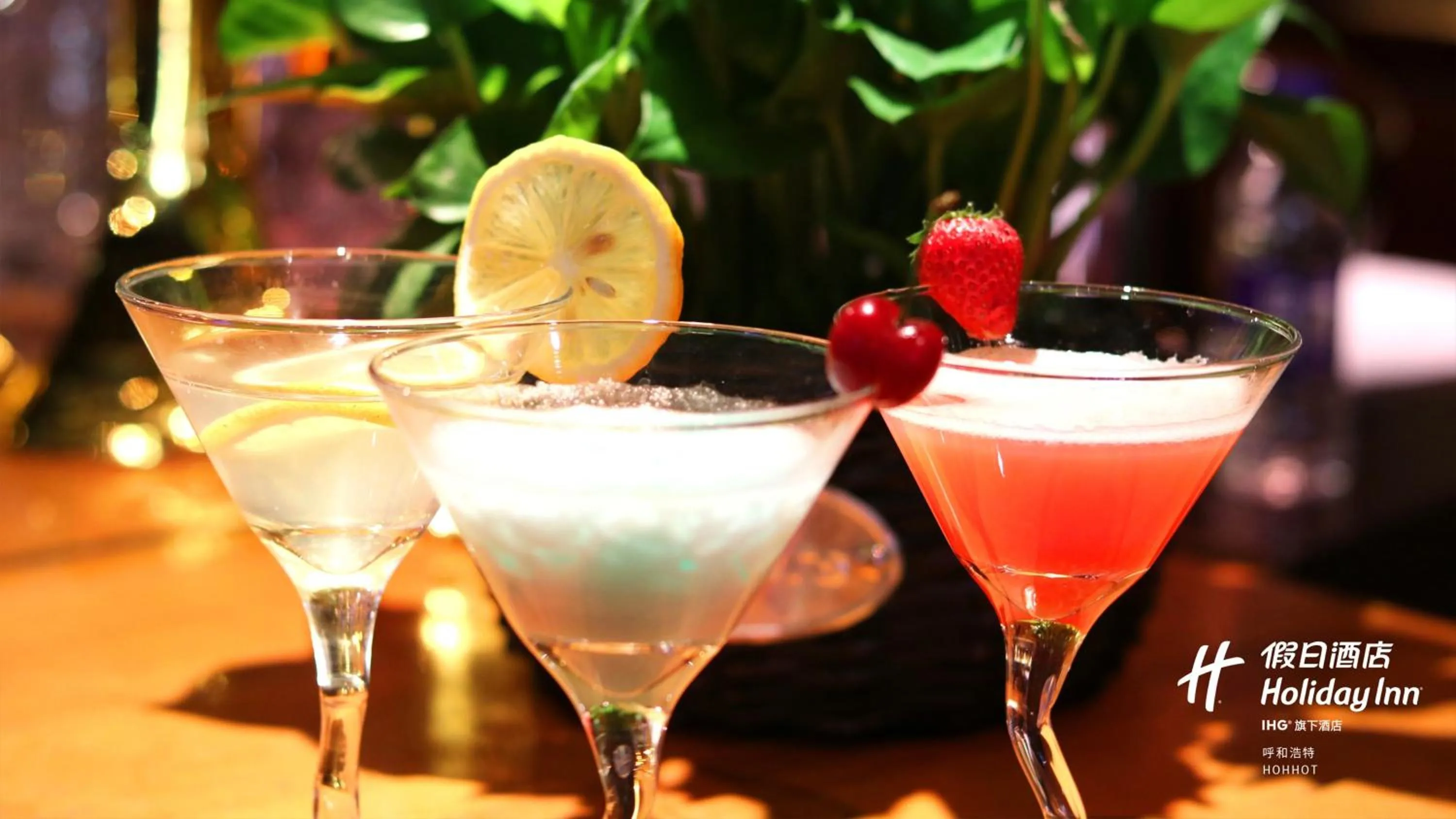 Meeting/conference room, Food in Holiday Inn Hohhot