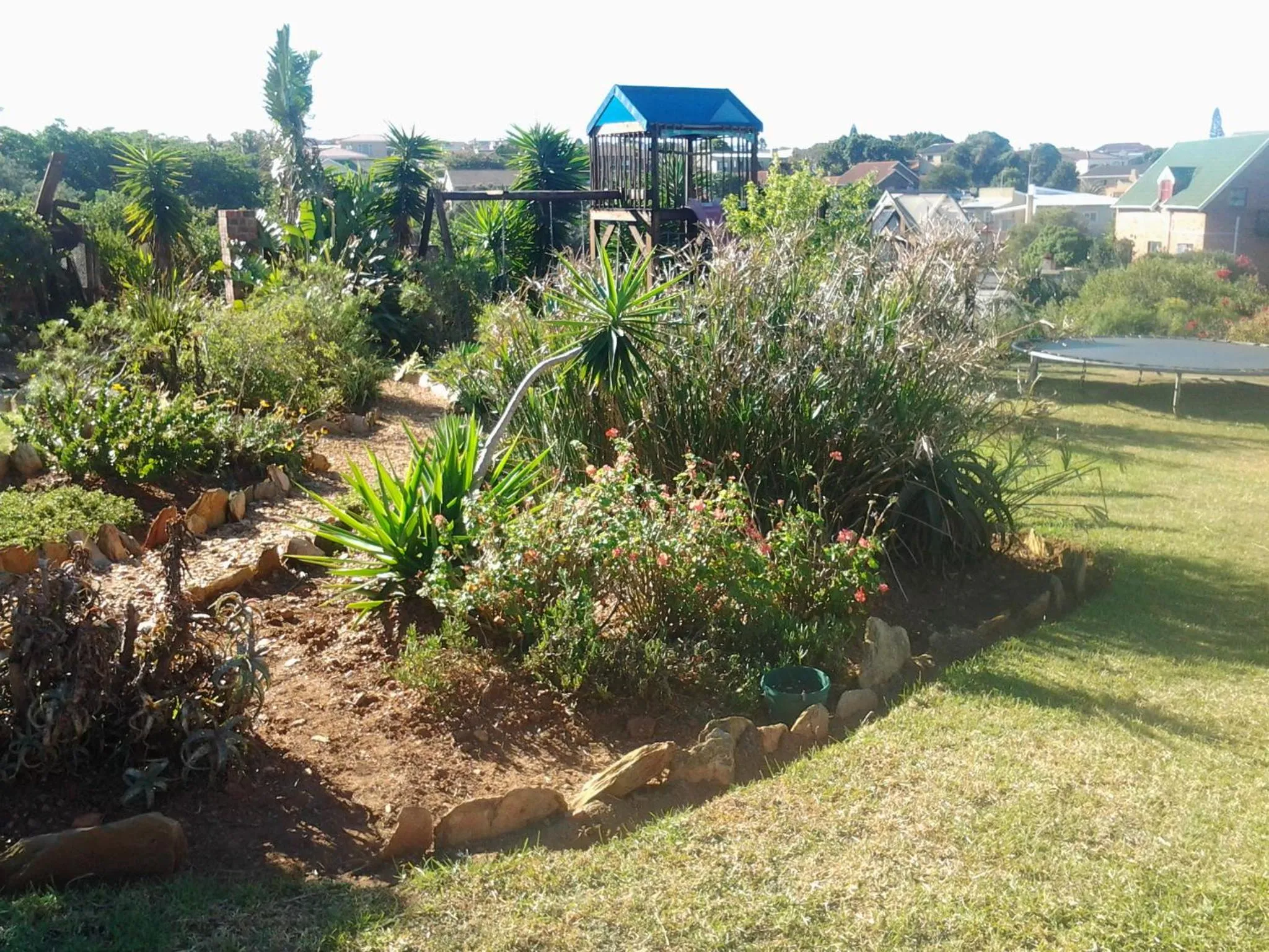 Garden in Dolphin View Guesthouse
