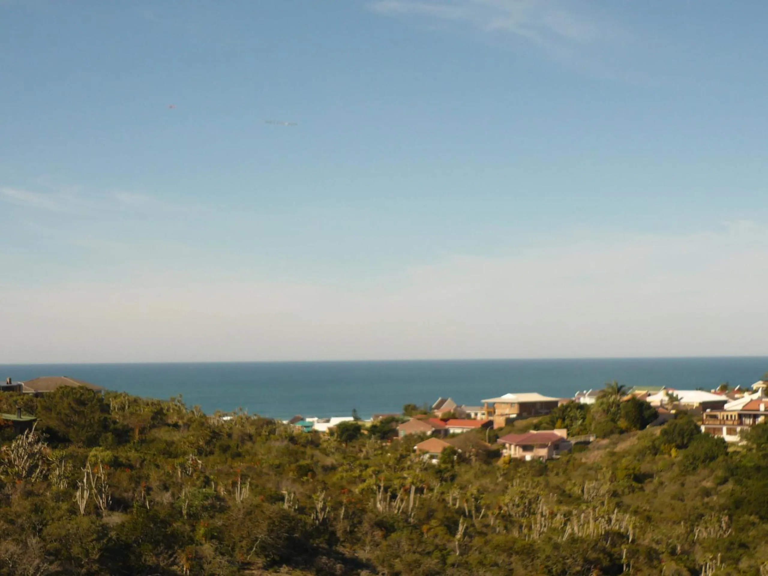 View (from property/room) in Dolphin View Guesthouse