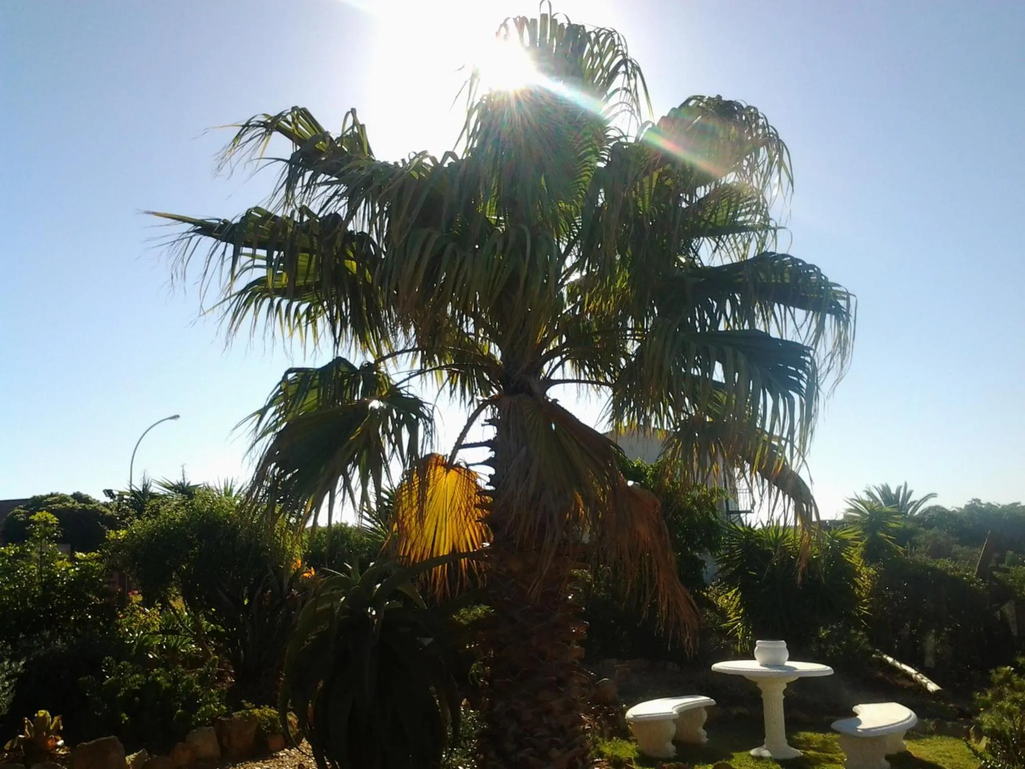 Garden in Dolphin View Guesthouse