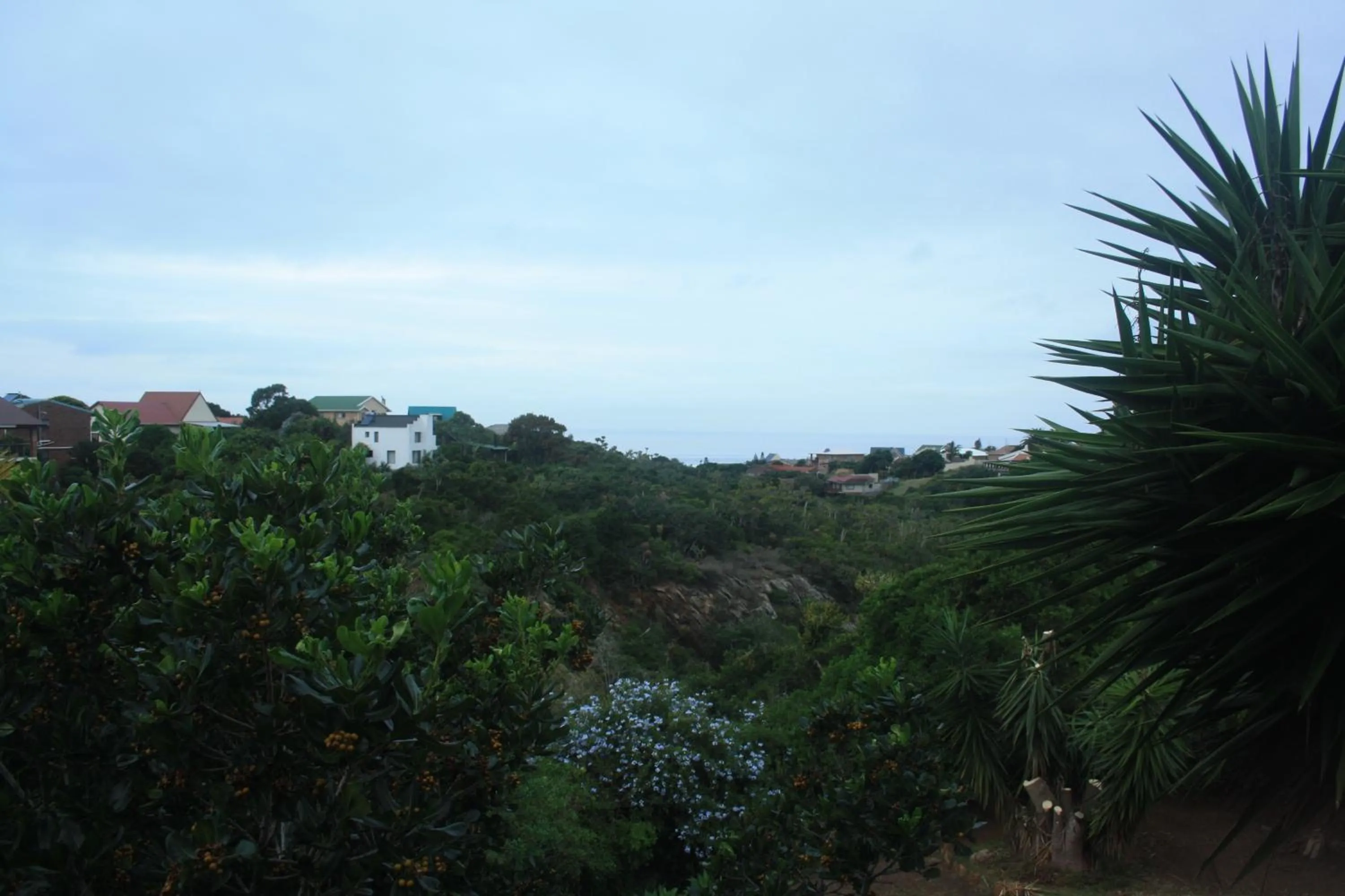 Sea view in Dolphin View Guesthouse