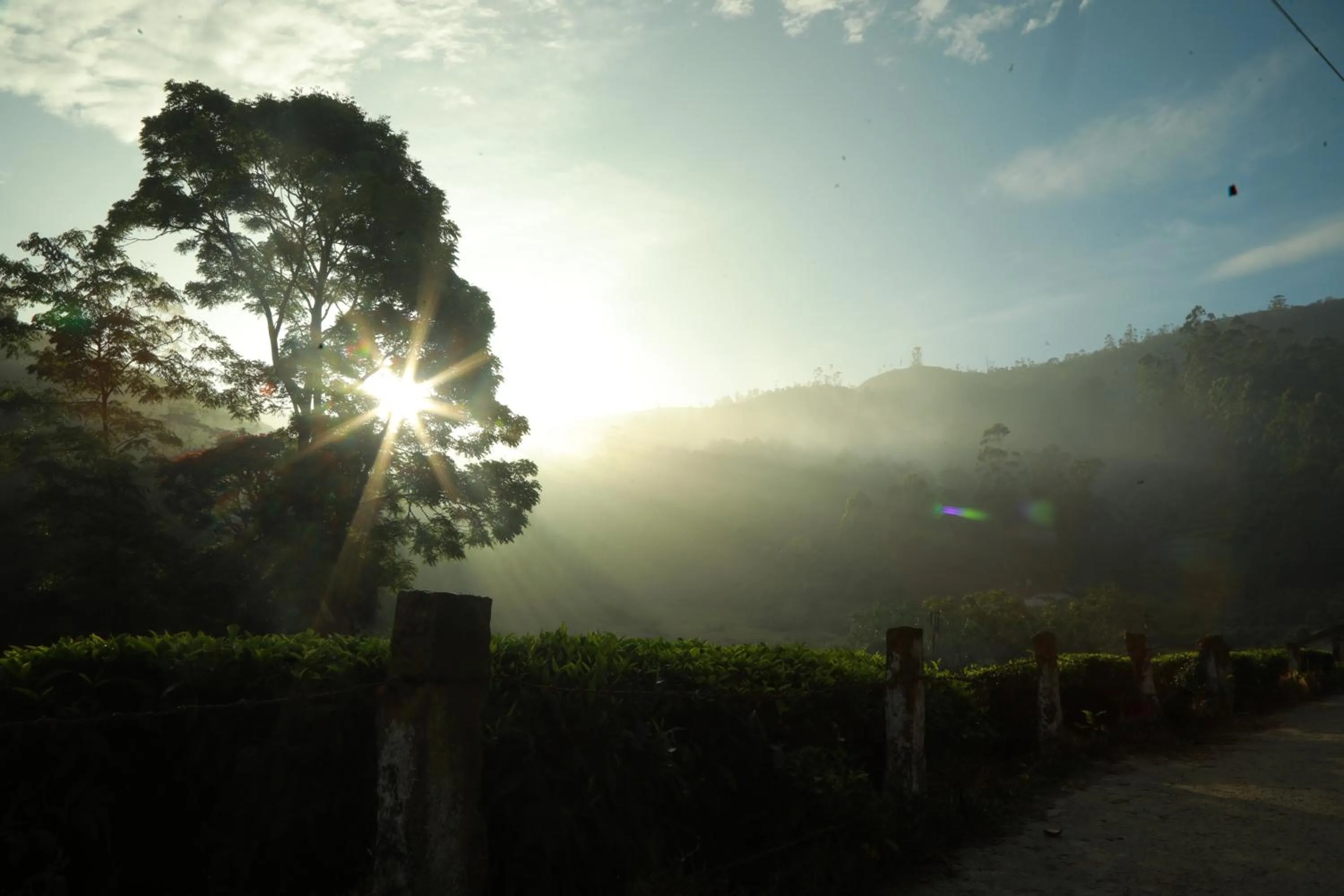 View (from property/room) in Casa Montana Munnar