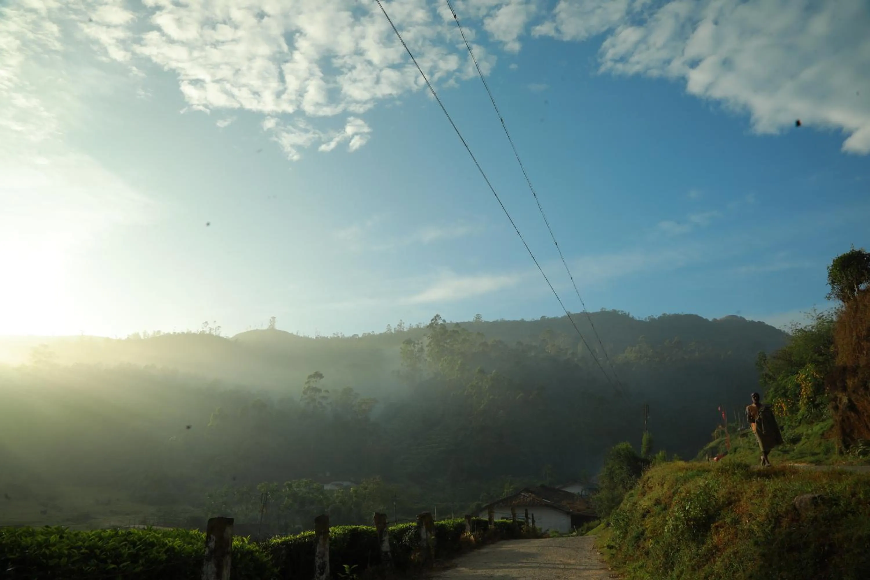 Natural landscape in Casa Montana Munnar