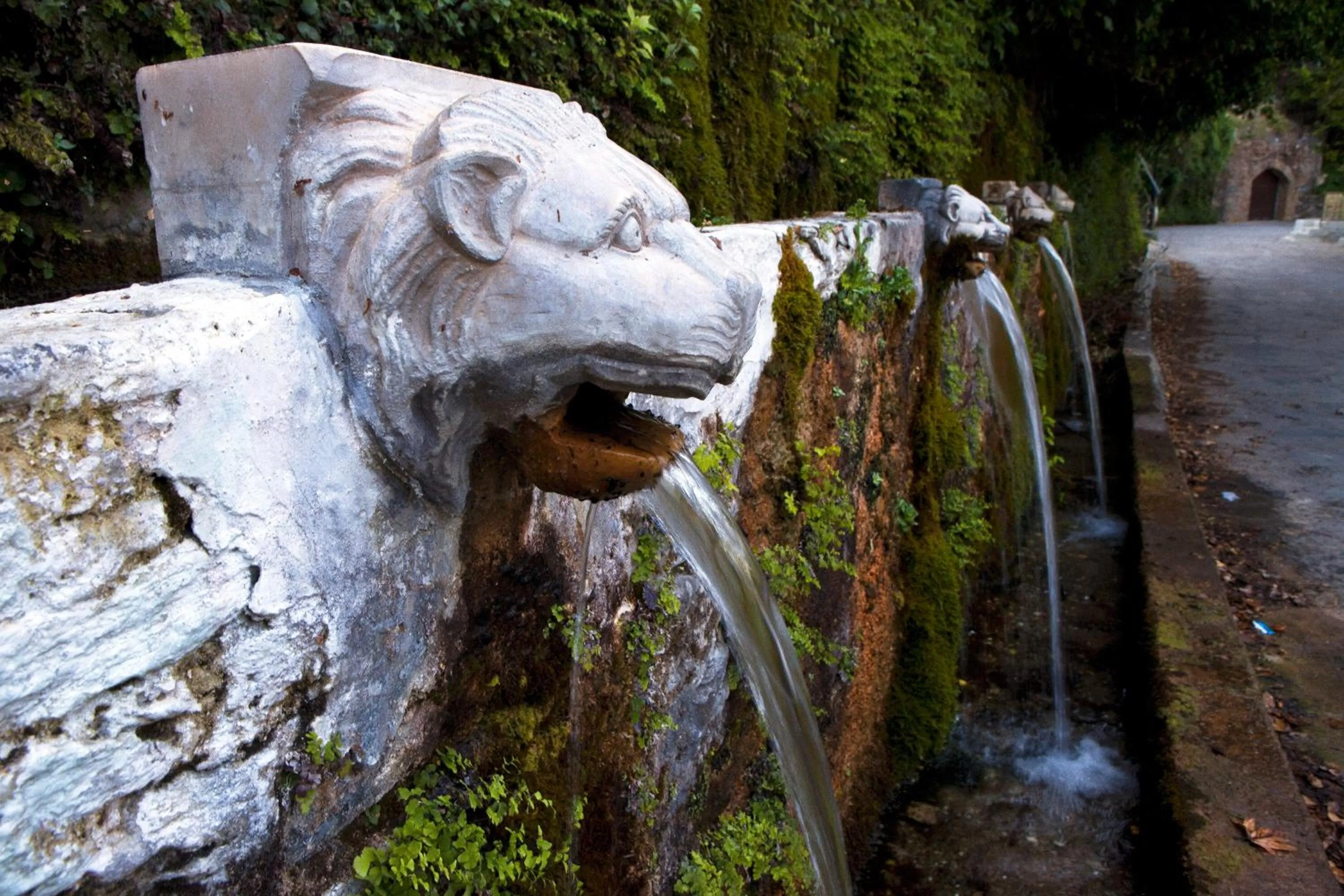 Area and facilities in Anemomiloi Studios