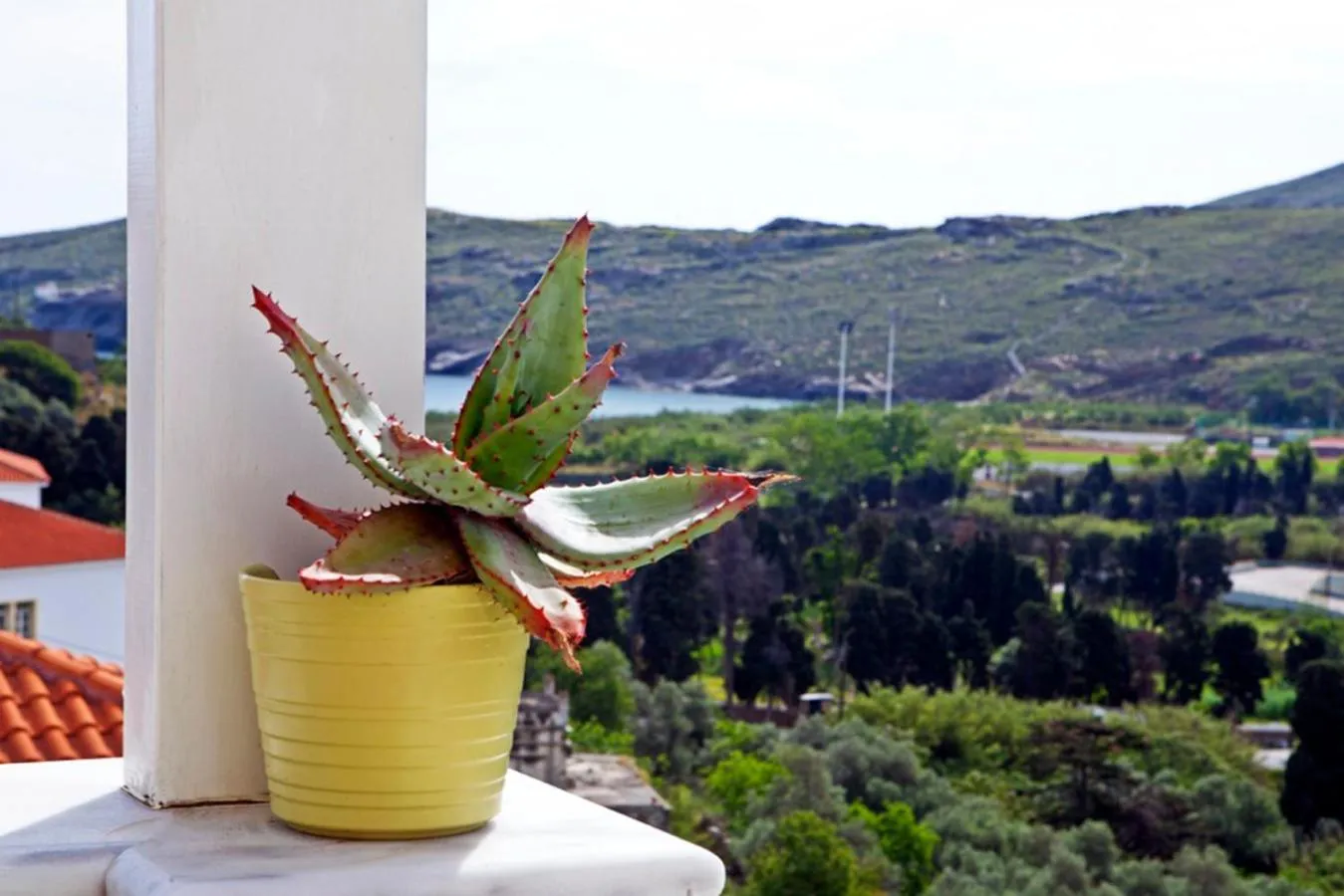 Balcony/Terrace in Anemomiloi Studios