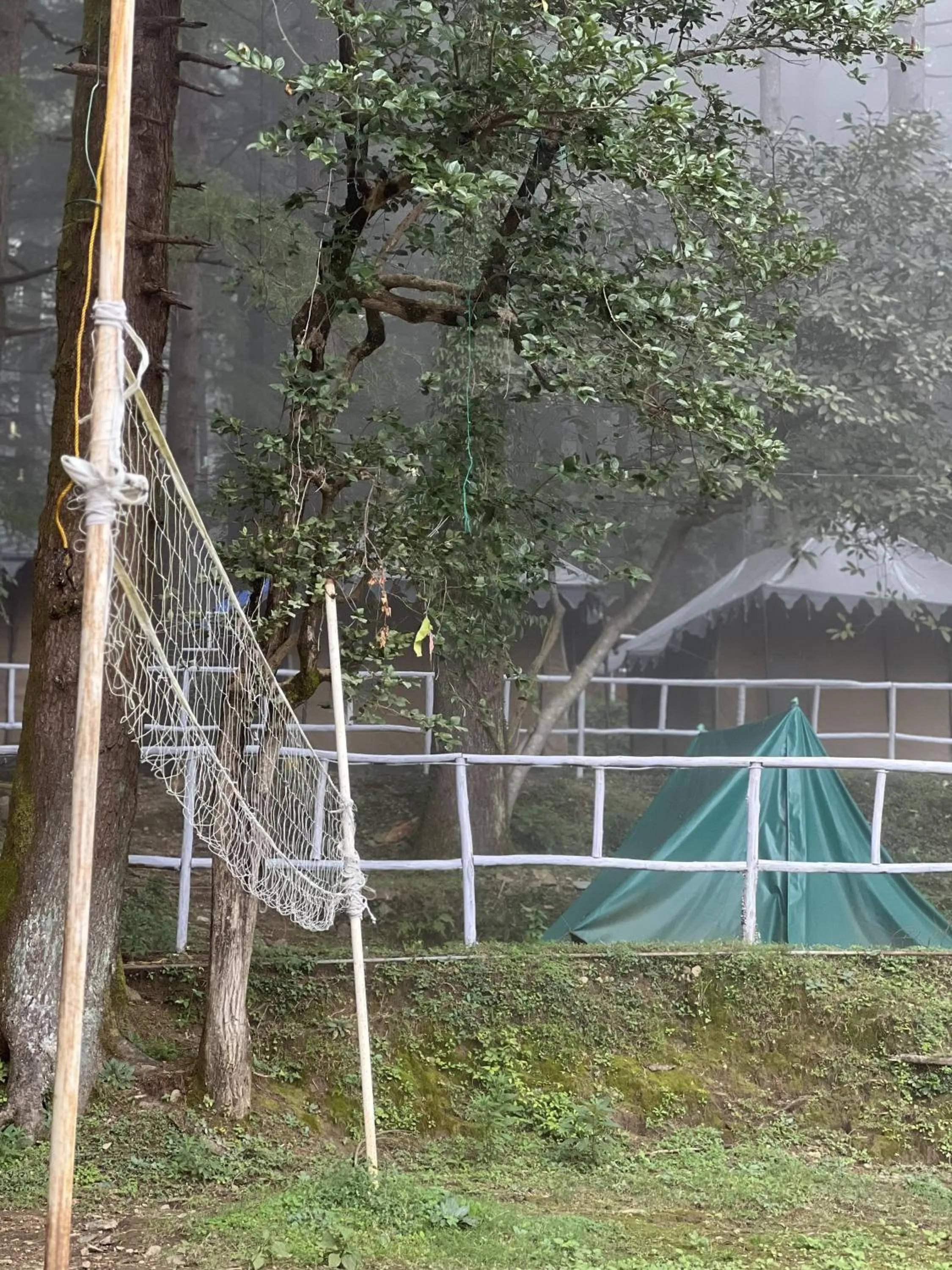 Natural landscape in Himtrek Stays,Mcleodganj