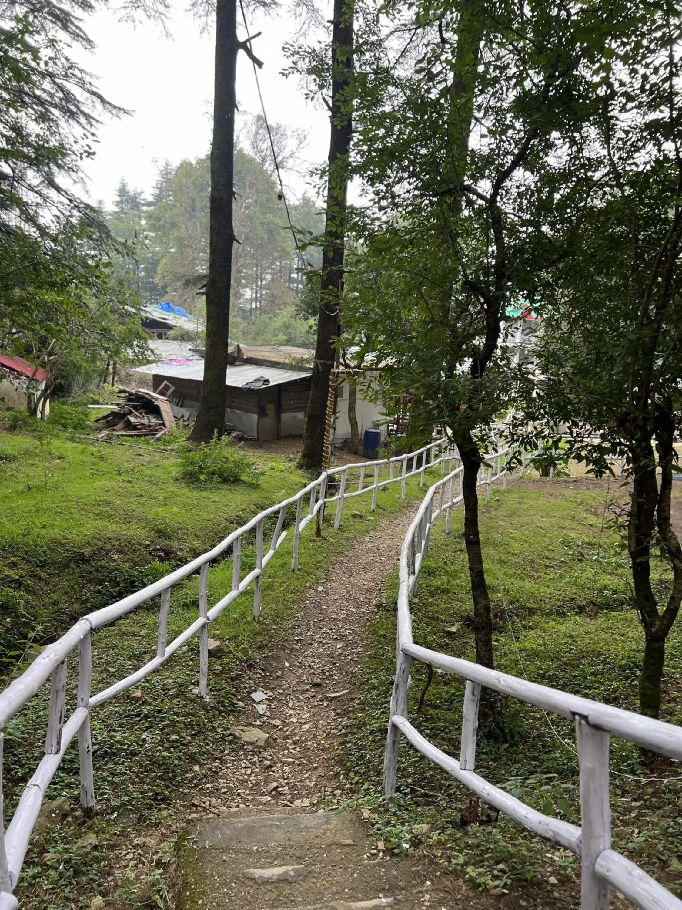 Swiss Tent in Himtrek Stays,Mcleodganj Swiss Tent in Himtrek Stays,Mcleodganj