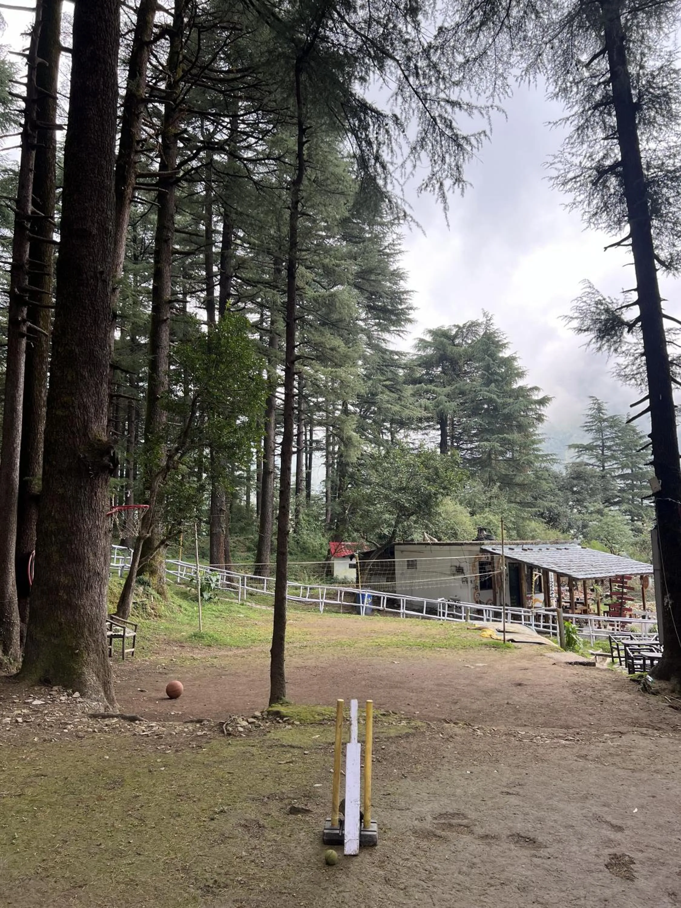 Day in Himtrek Stays,Mcleodganj