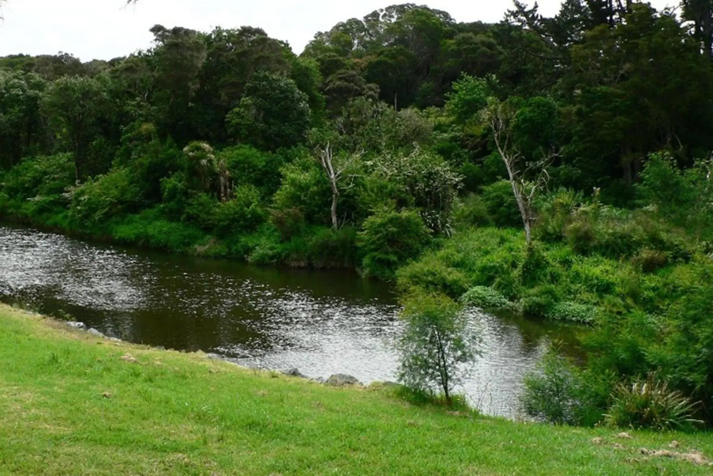 River view in Riverside Lodge Paihia River view in Riverside Lodge Paihia