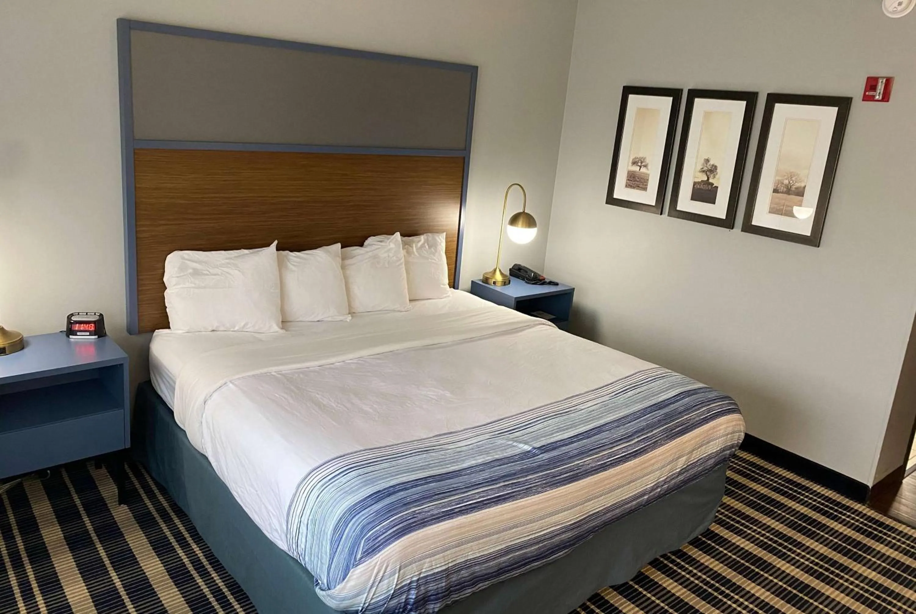 Photo of the whole room, Bed in AmericInn by Wyndham Chanhassen