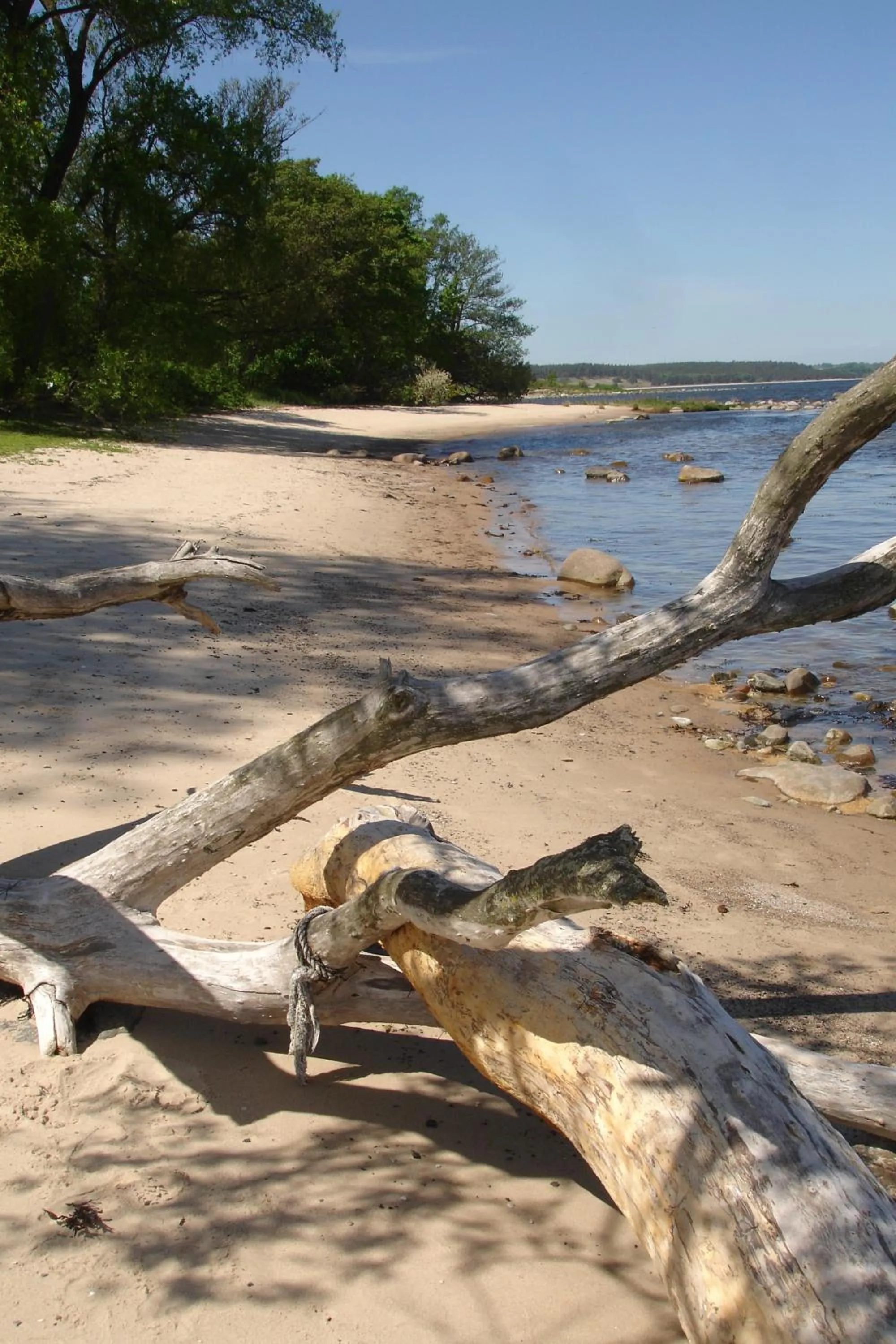 Beach in Kivikstrand Badhotell
