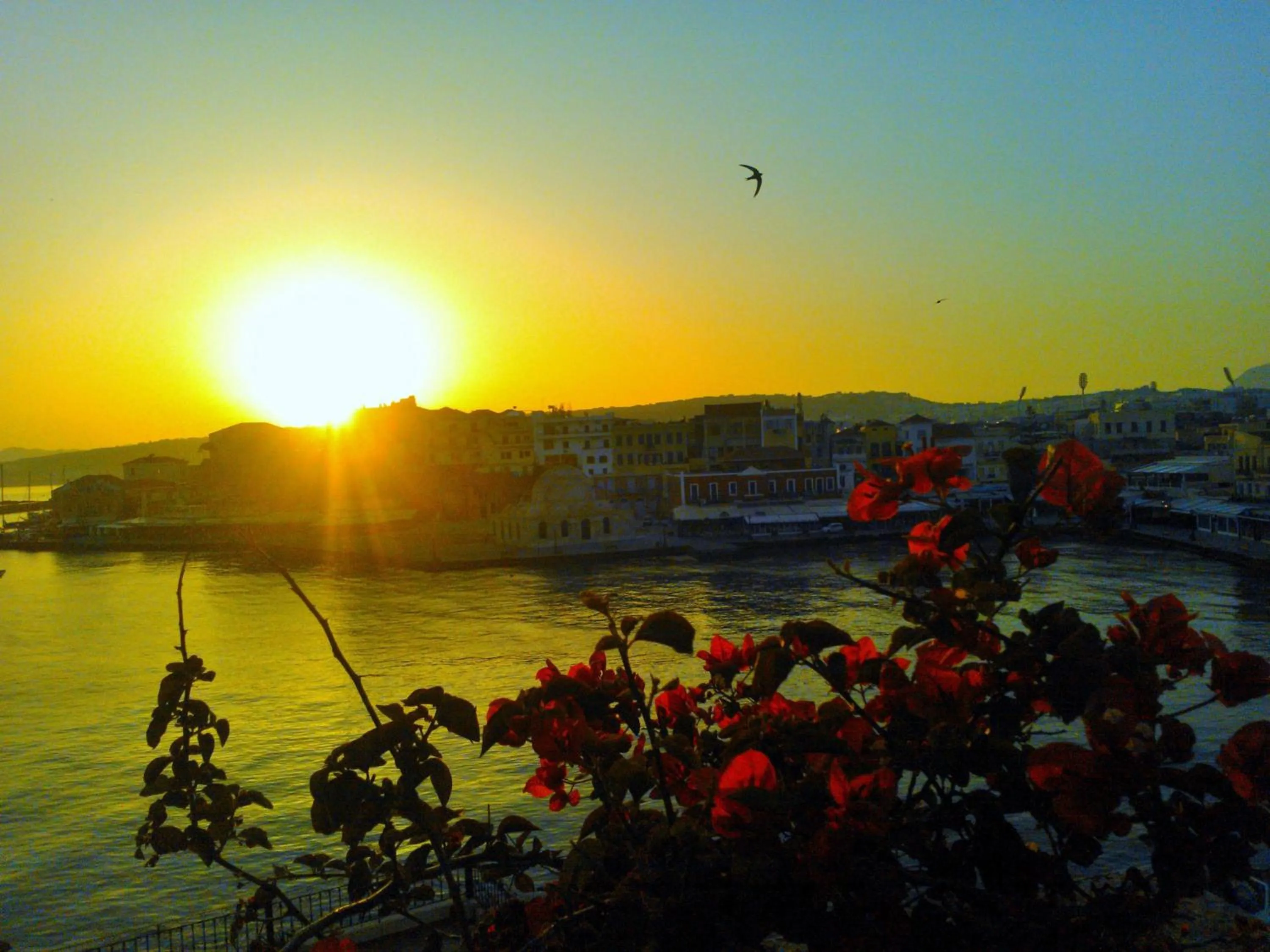 View (from property/room) in Hotel Amphora