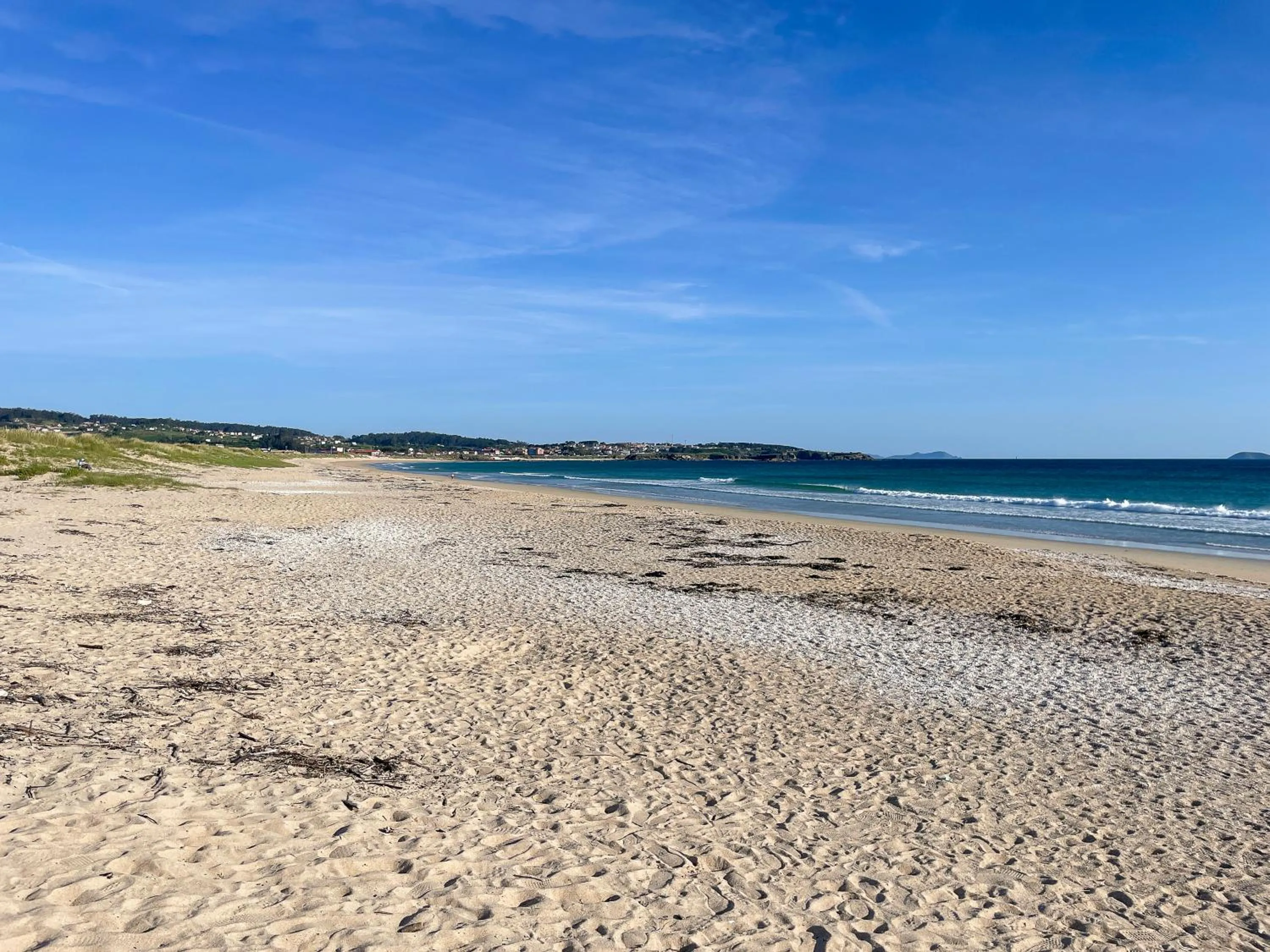 Beach in Apartamentos Revolta Sanxenxo 3000