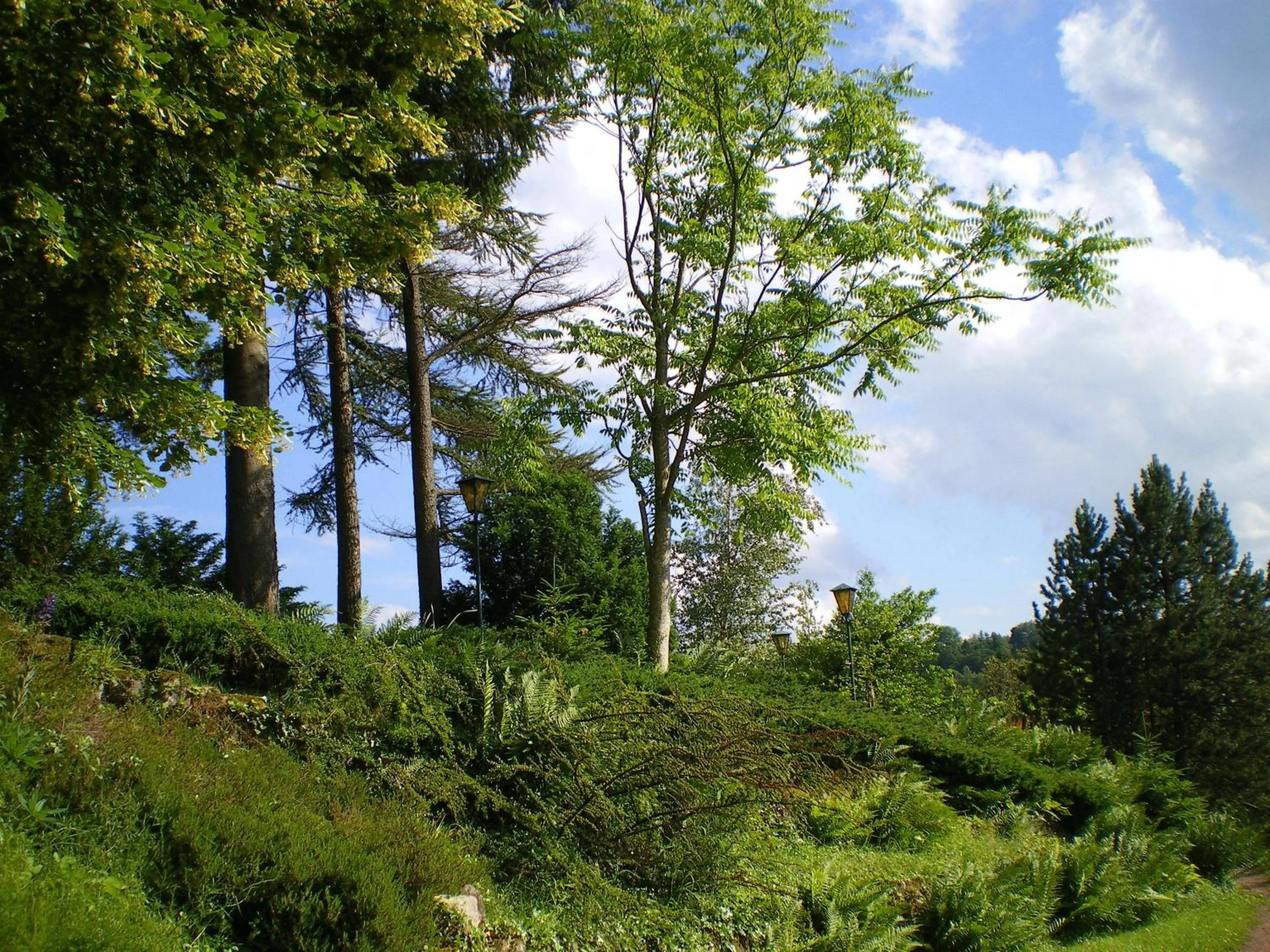 Day in Hôtel des Vosges