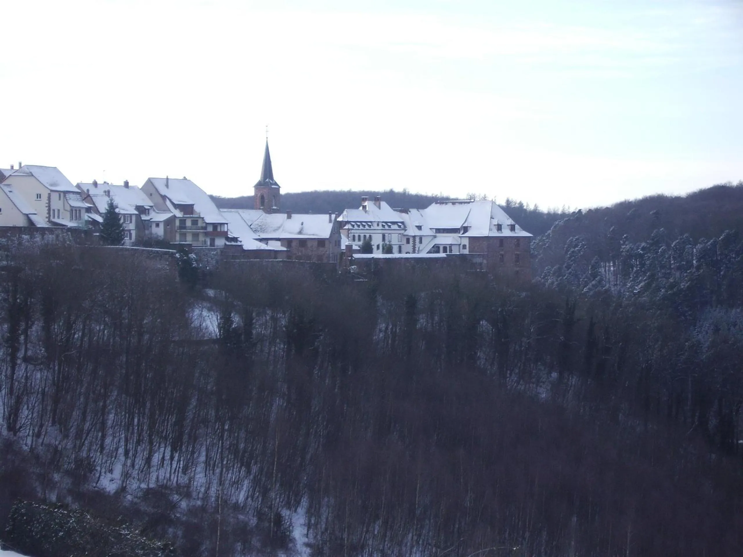 Natural landscape in Hôtel des Vosges