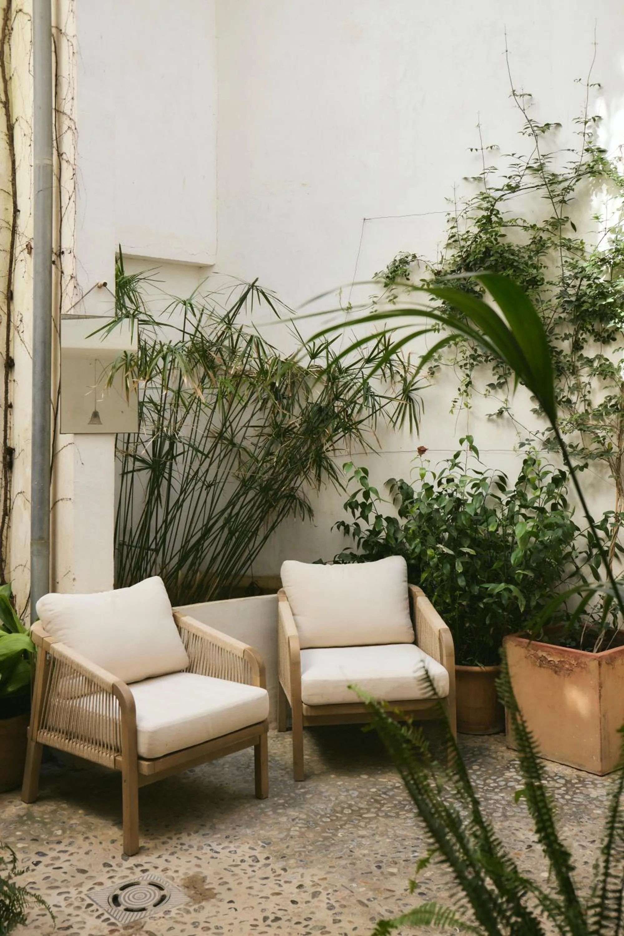 Patio in Hotel Forn Nou