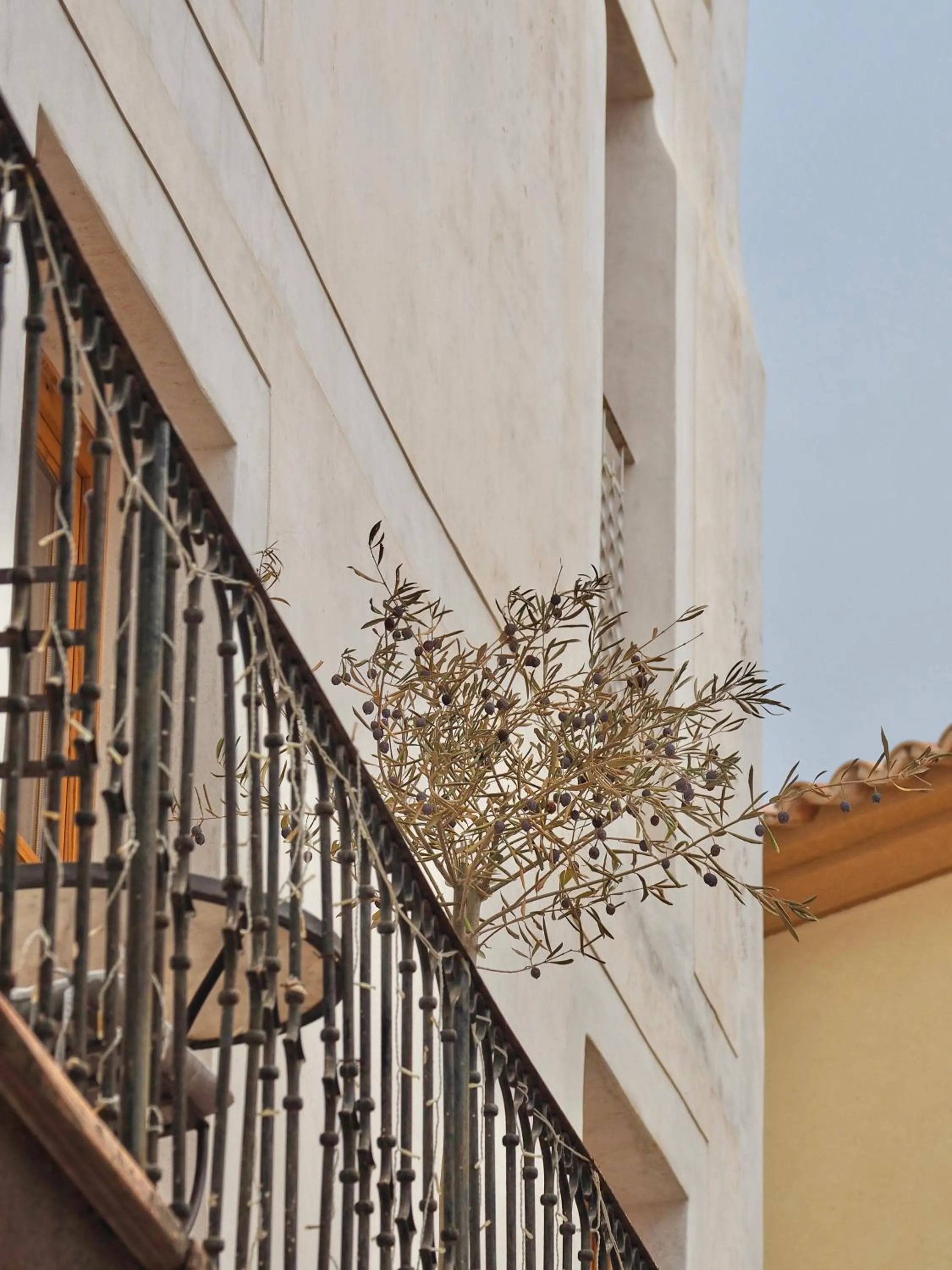 Property building in Hotel Forn Nou