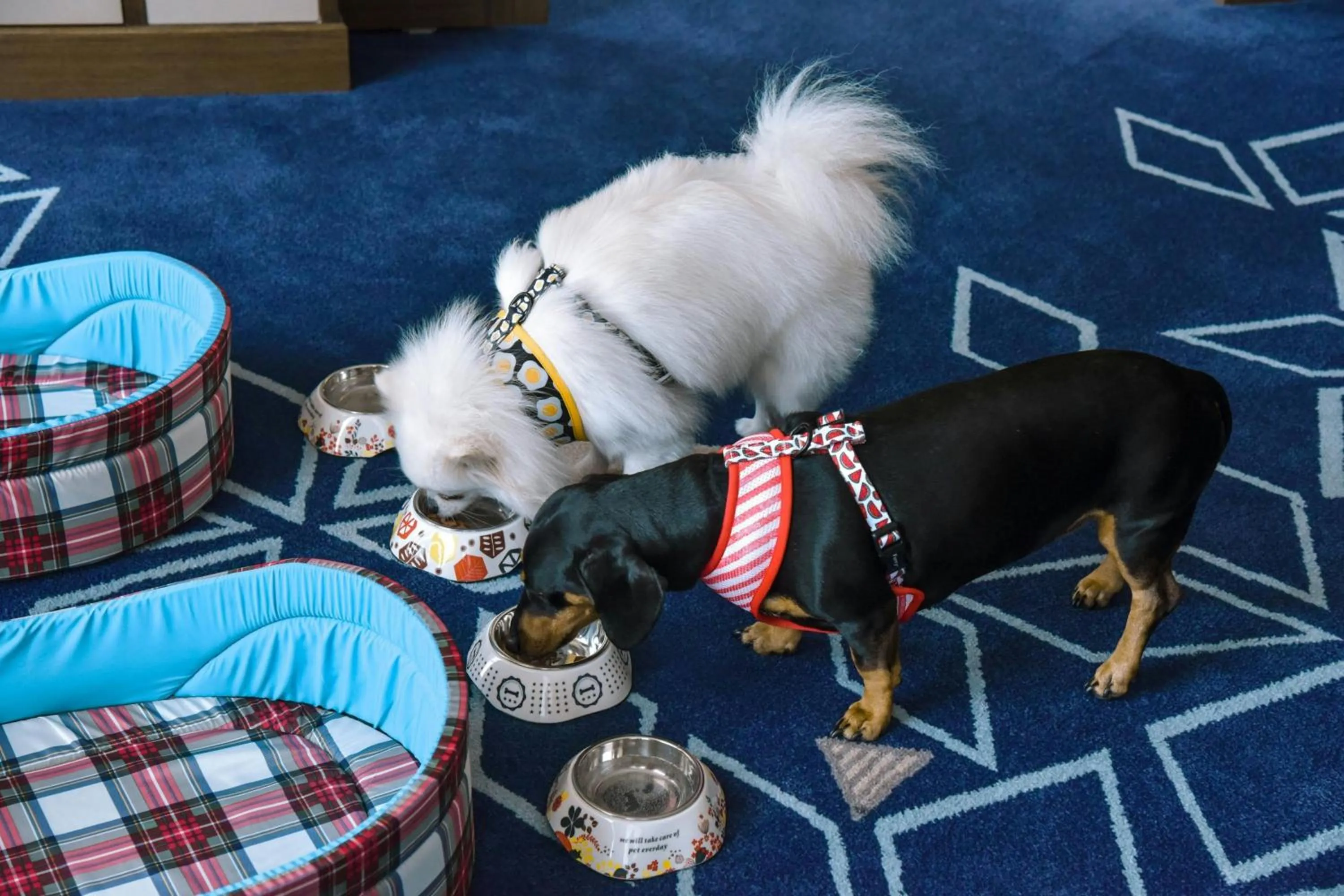 Other in Four Points by Sheraton Danang