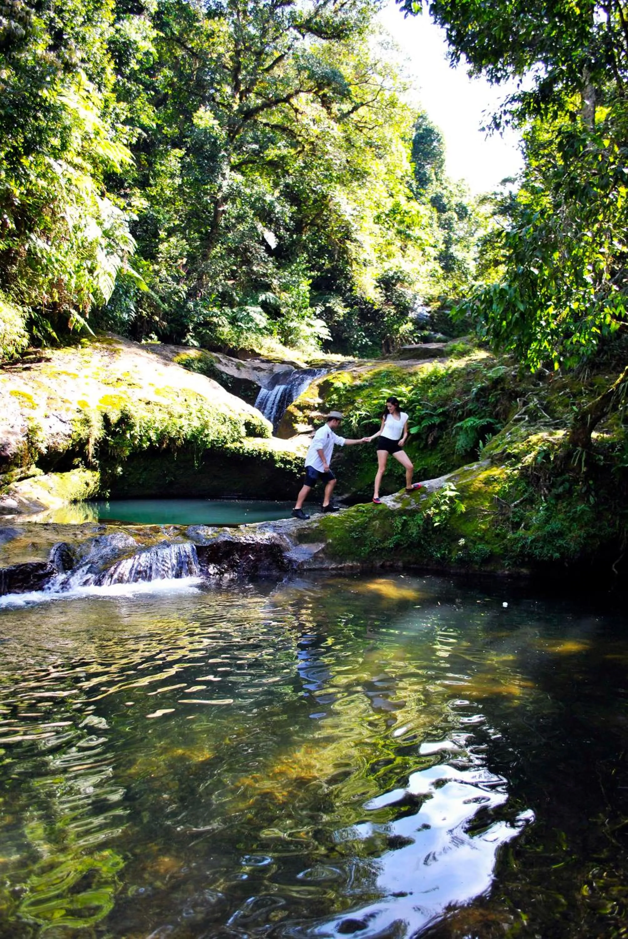Hotel Boutique La Casona de Don Porfirio