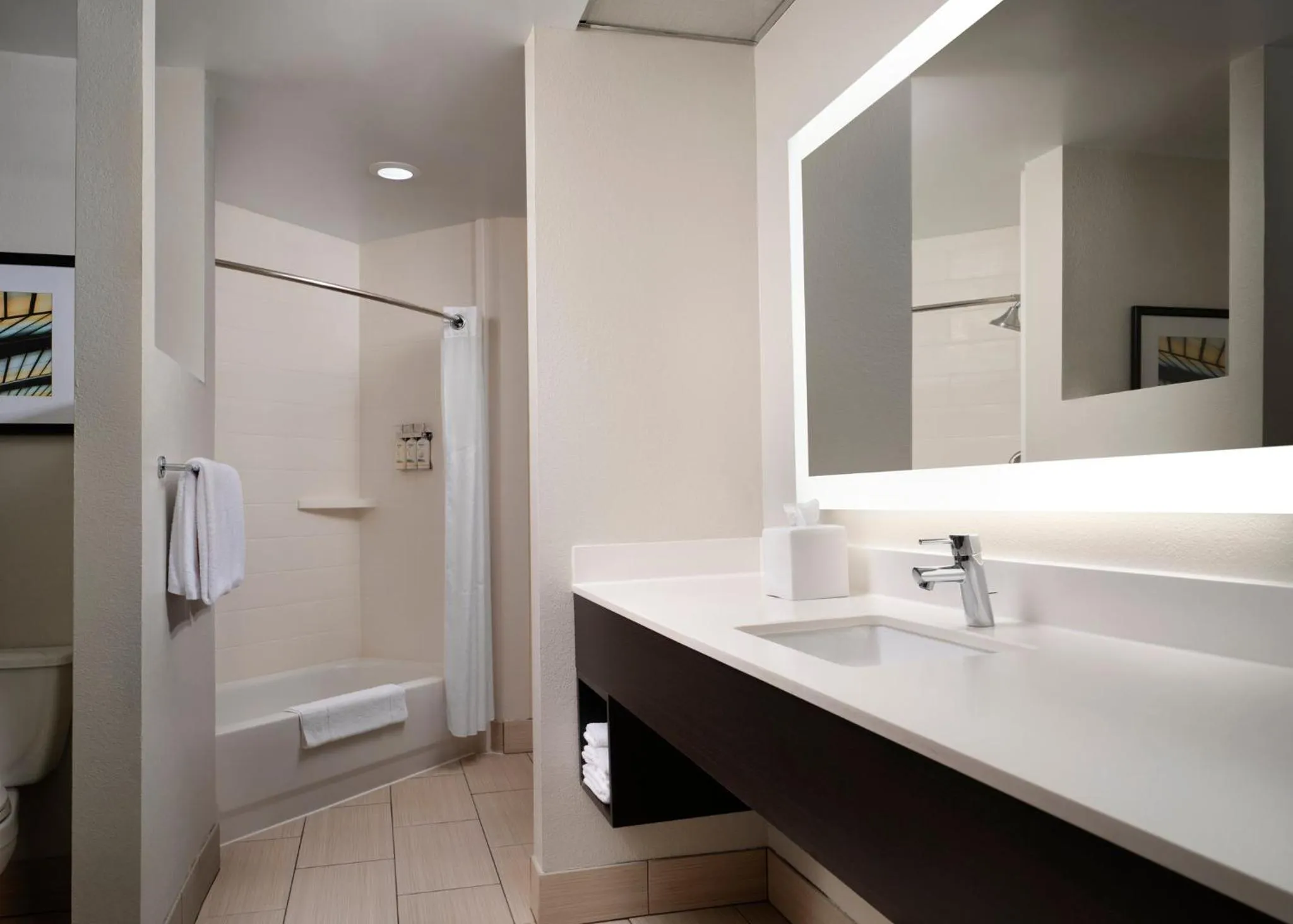Bathroom in Holiday Inn Express and Suites New Orleans Airport by IHG