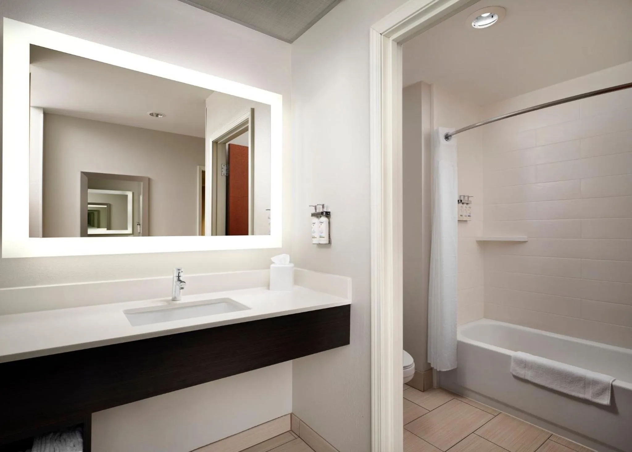 Bathroom in Holiday Inn Express and Suites New Orleans Airport by IHG