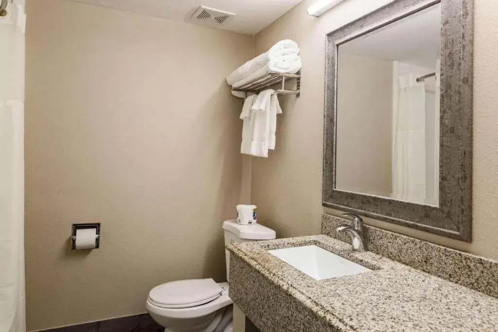 Bathroom in Clarion Inn & Suites Stroudsburg - Poconos