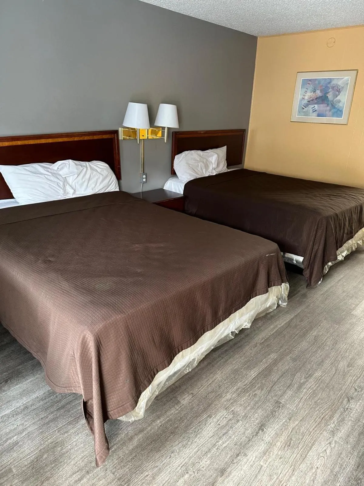 Bedroom, Bed in College Inn Spartanburg