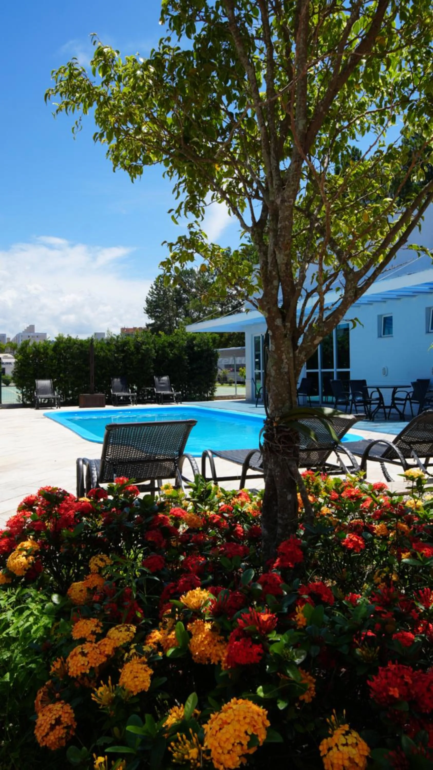 Swimming pool in Favorita Golden Hotel e Eventos