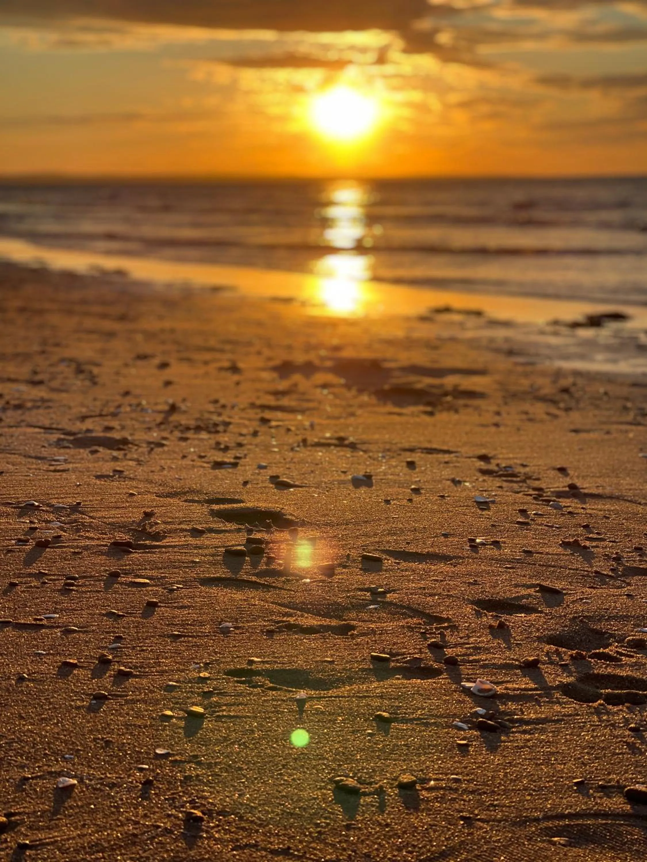 Charlotte's Rose Inn