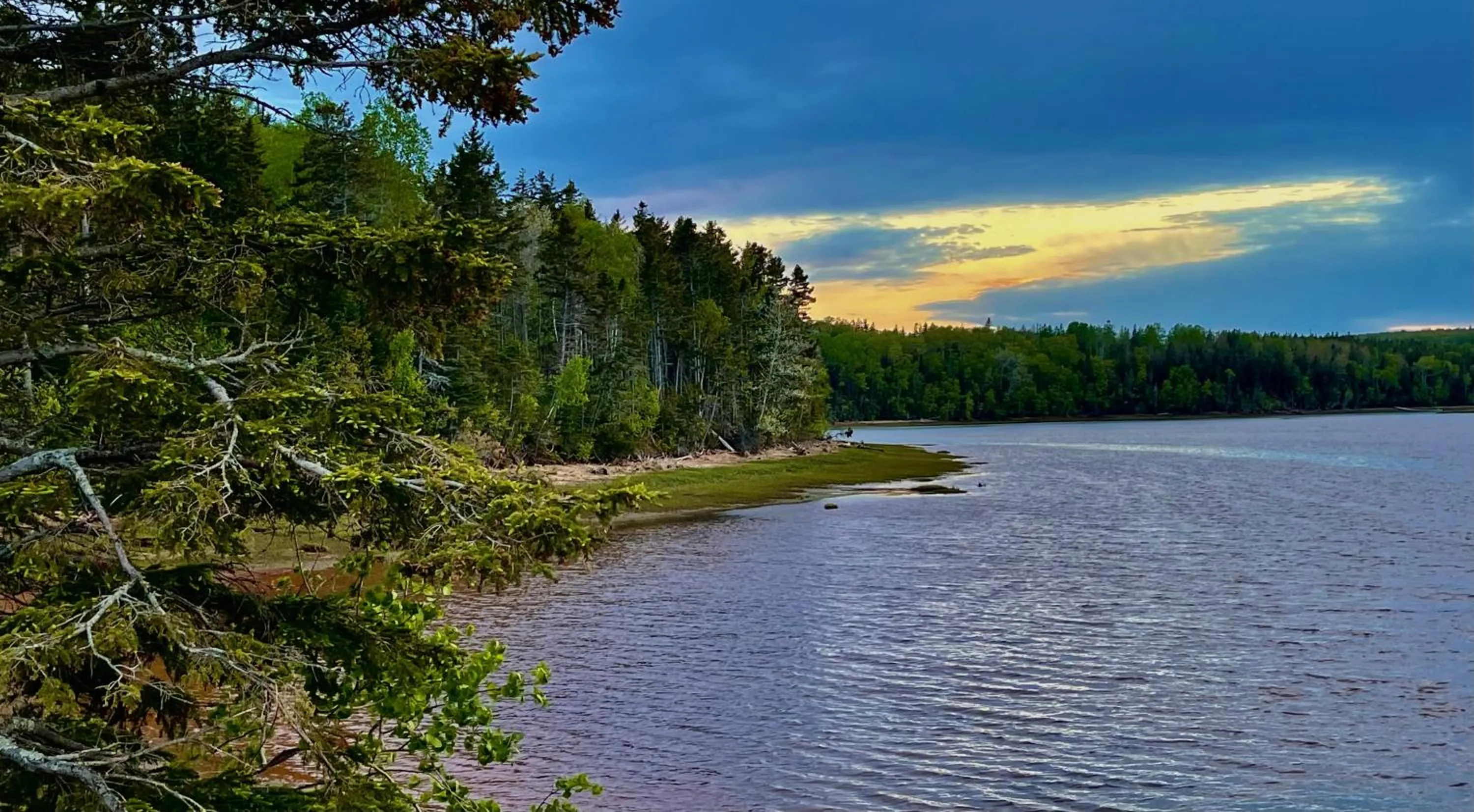 Charlotte's Rose Inn