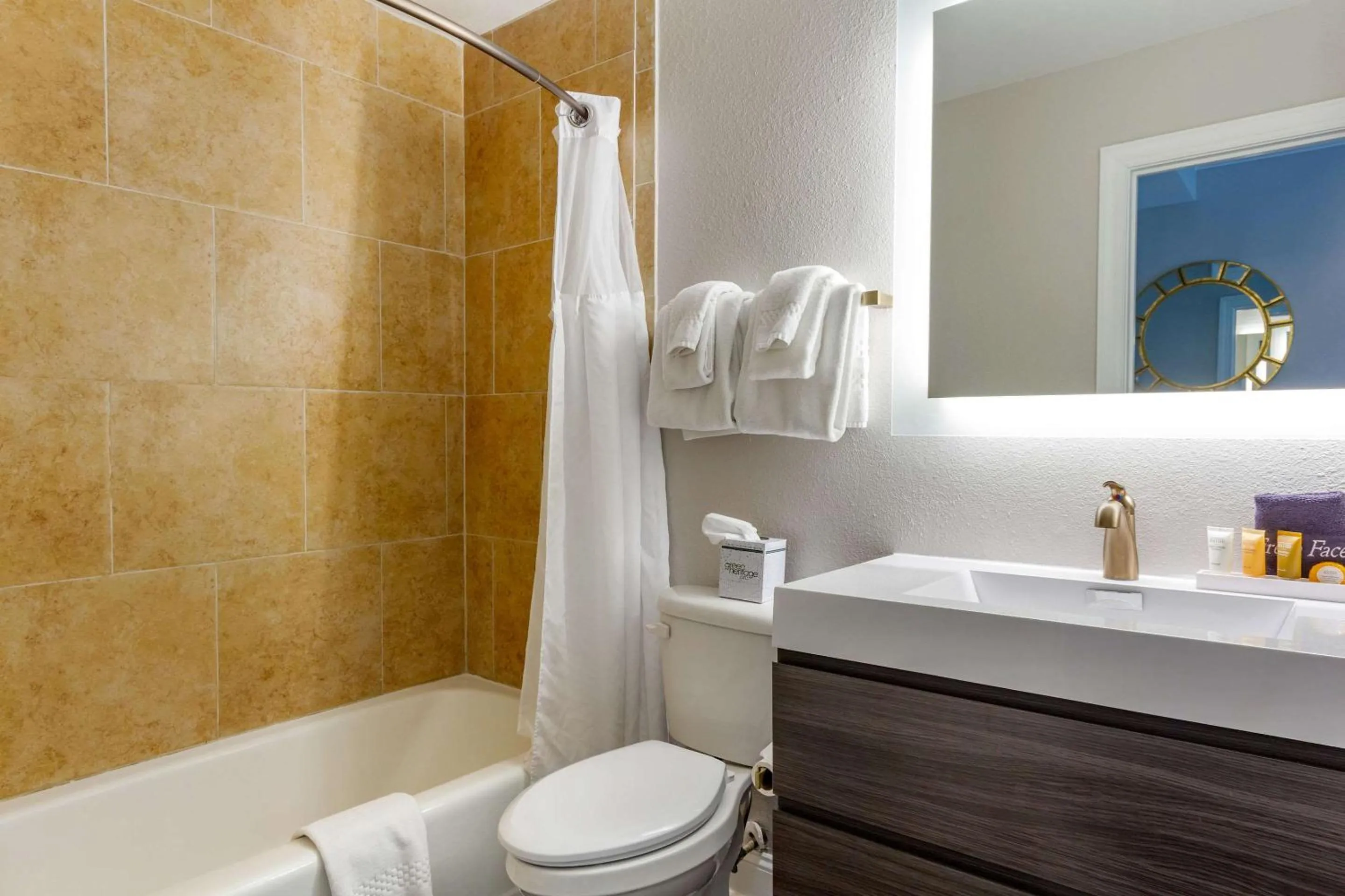 Bathroom in Church Street Inn Historic Charleston, Ascend Collection Hotel