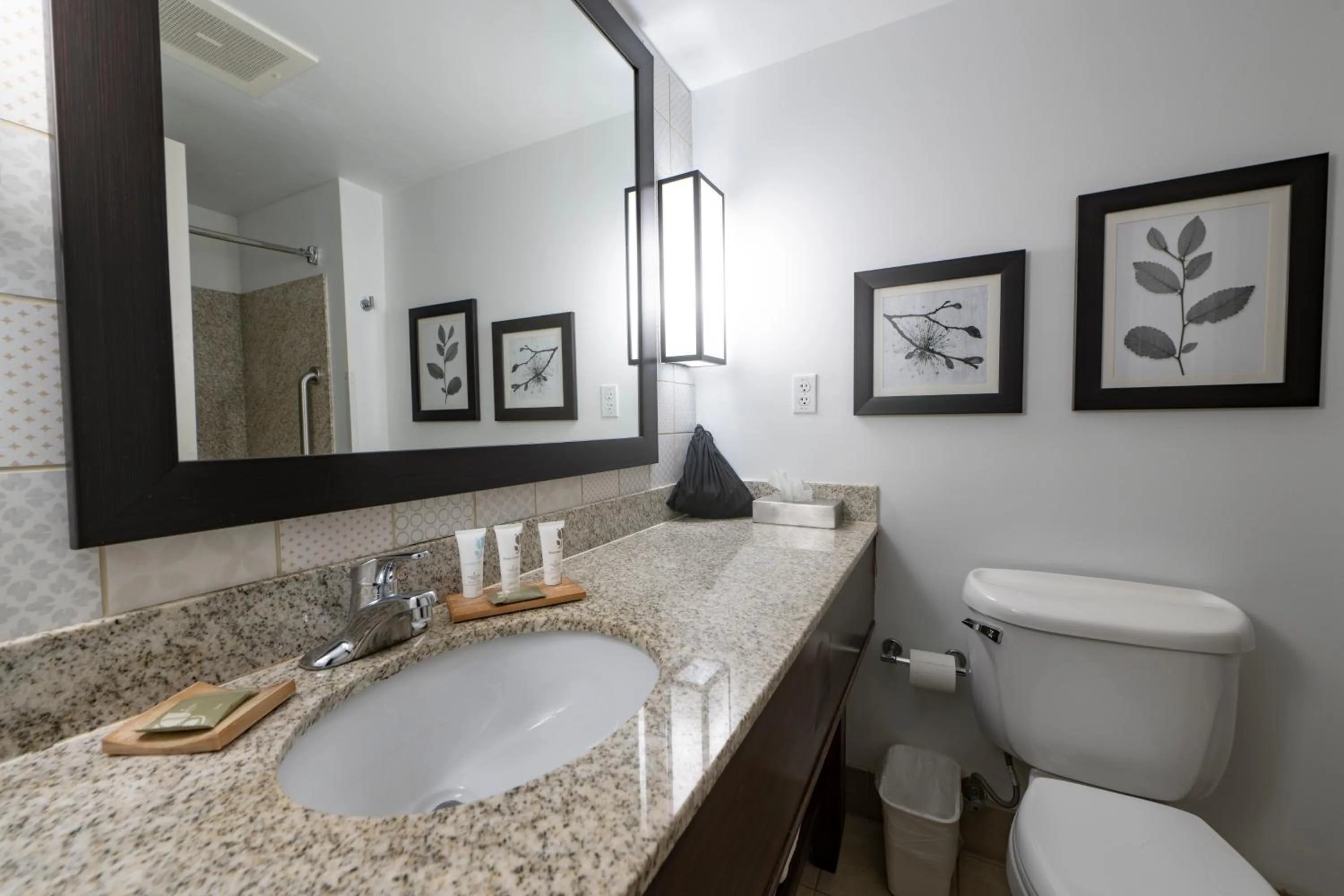 Toilet in Country Inn & Suites by Radisson, Queensbury - Lake George , NY