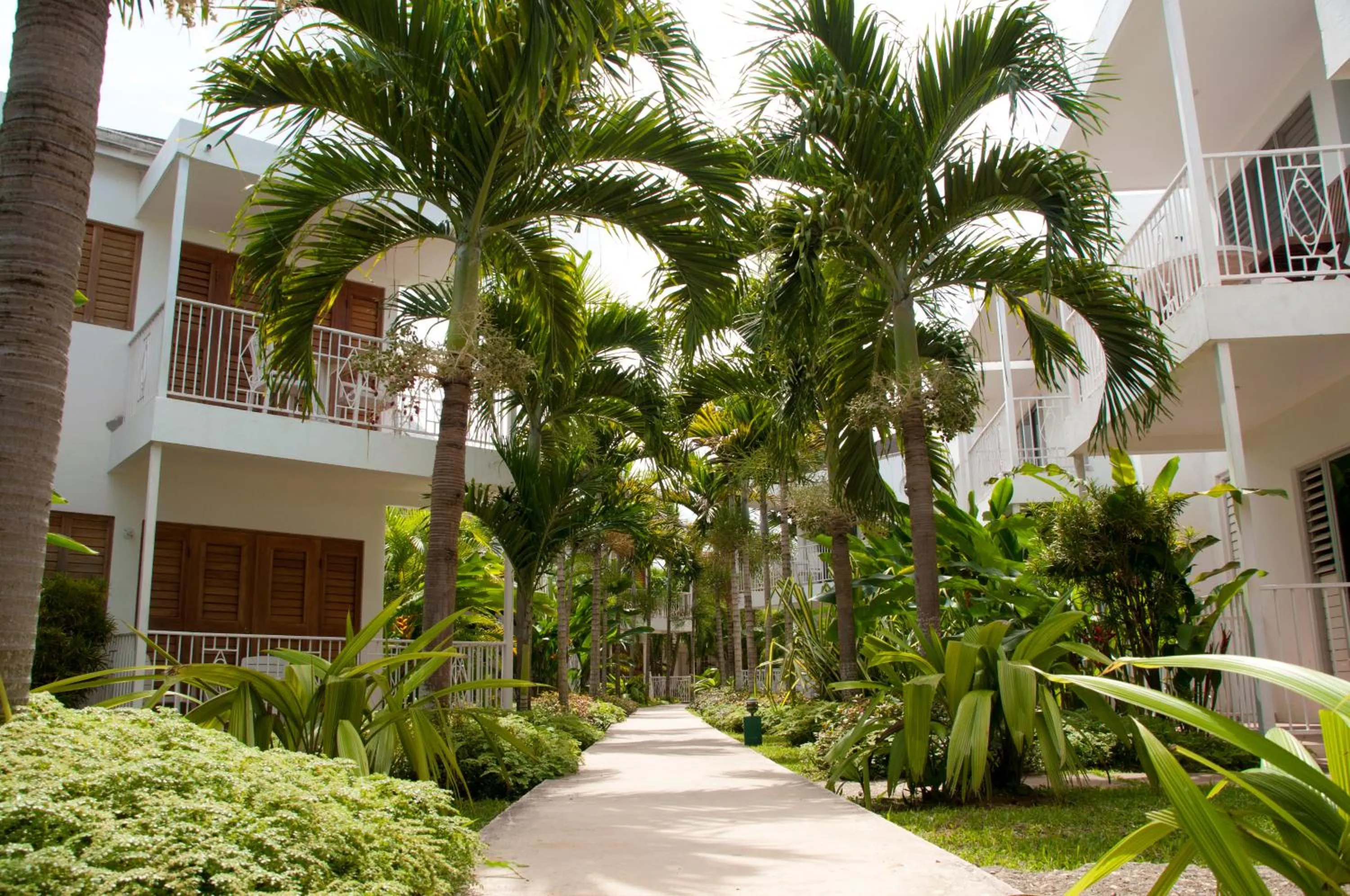 Garden in Negril Palms